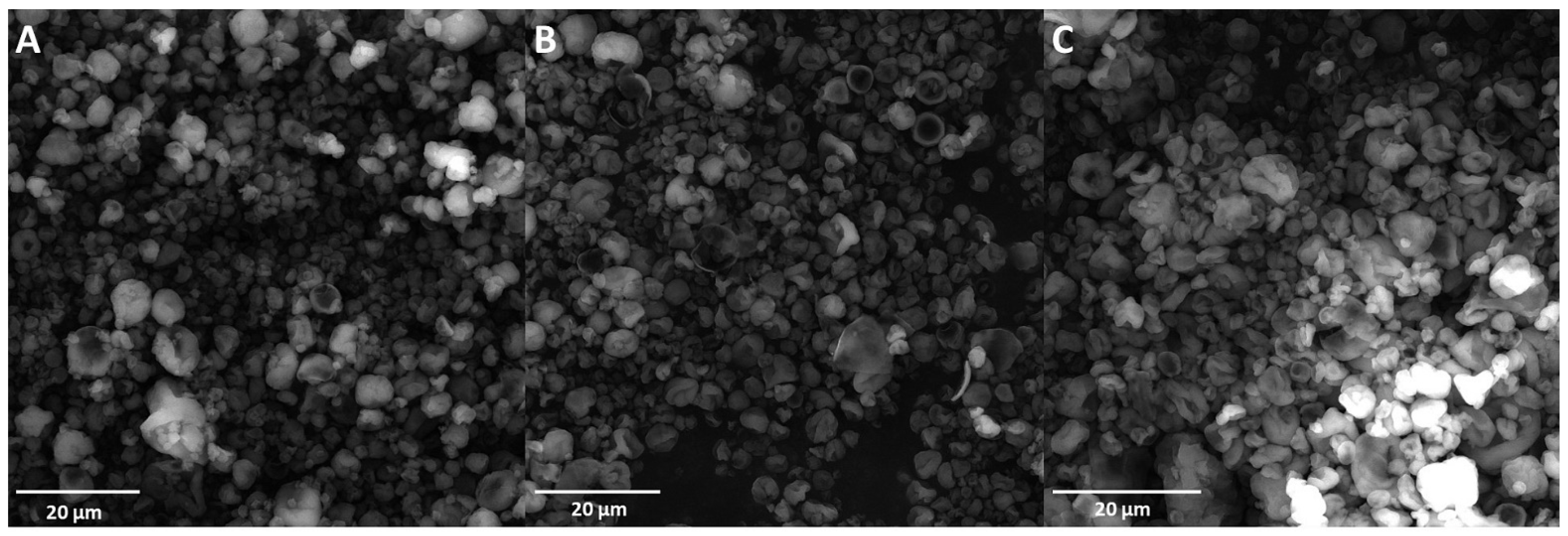Antioxidants 12 00919 g002