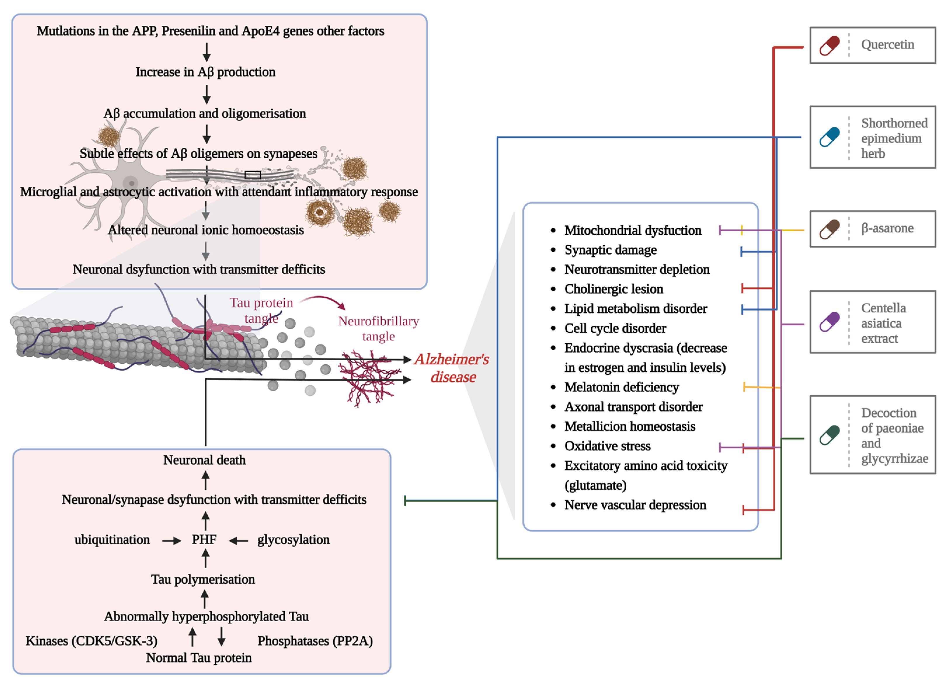 Antioxidants 12 00920 g003