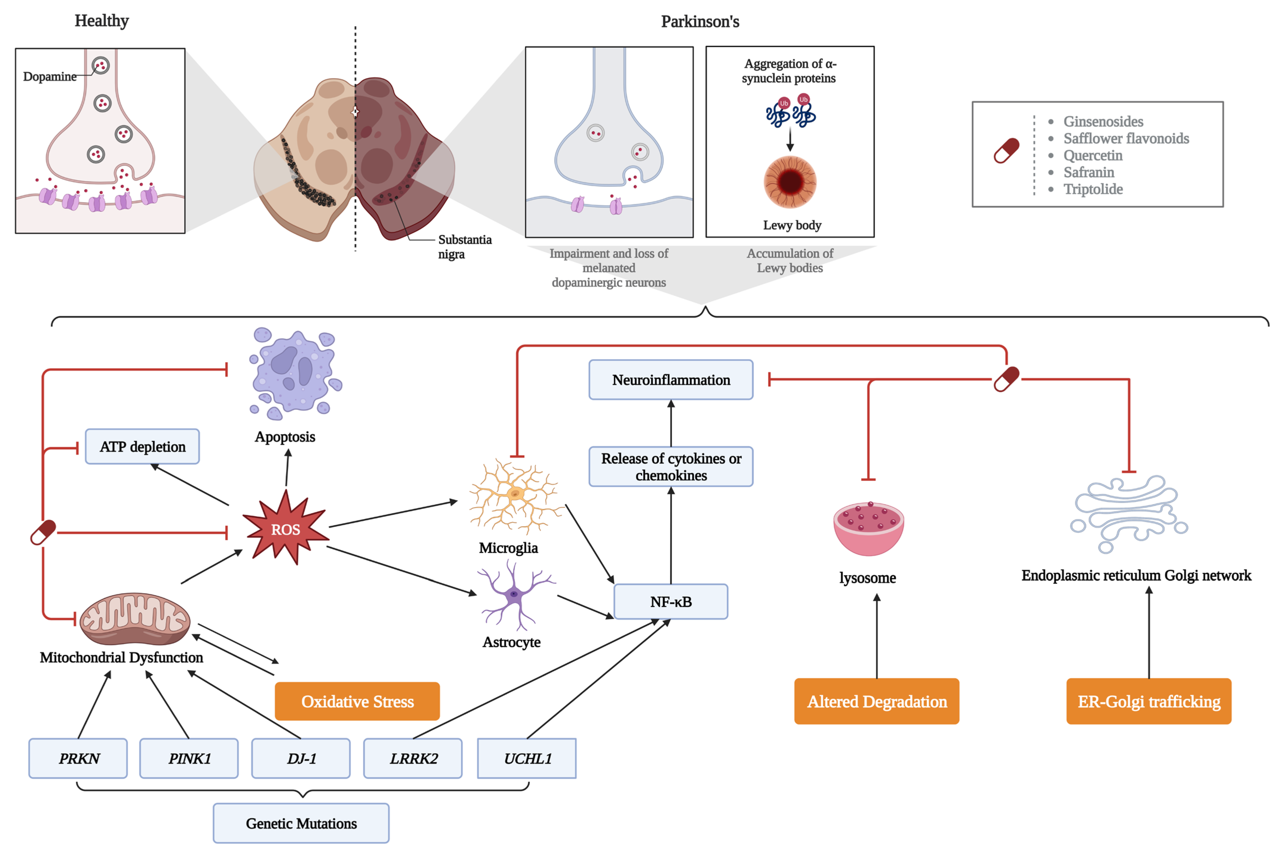 Antioxidants 12 00920 g004