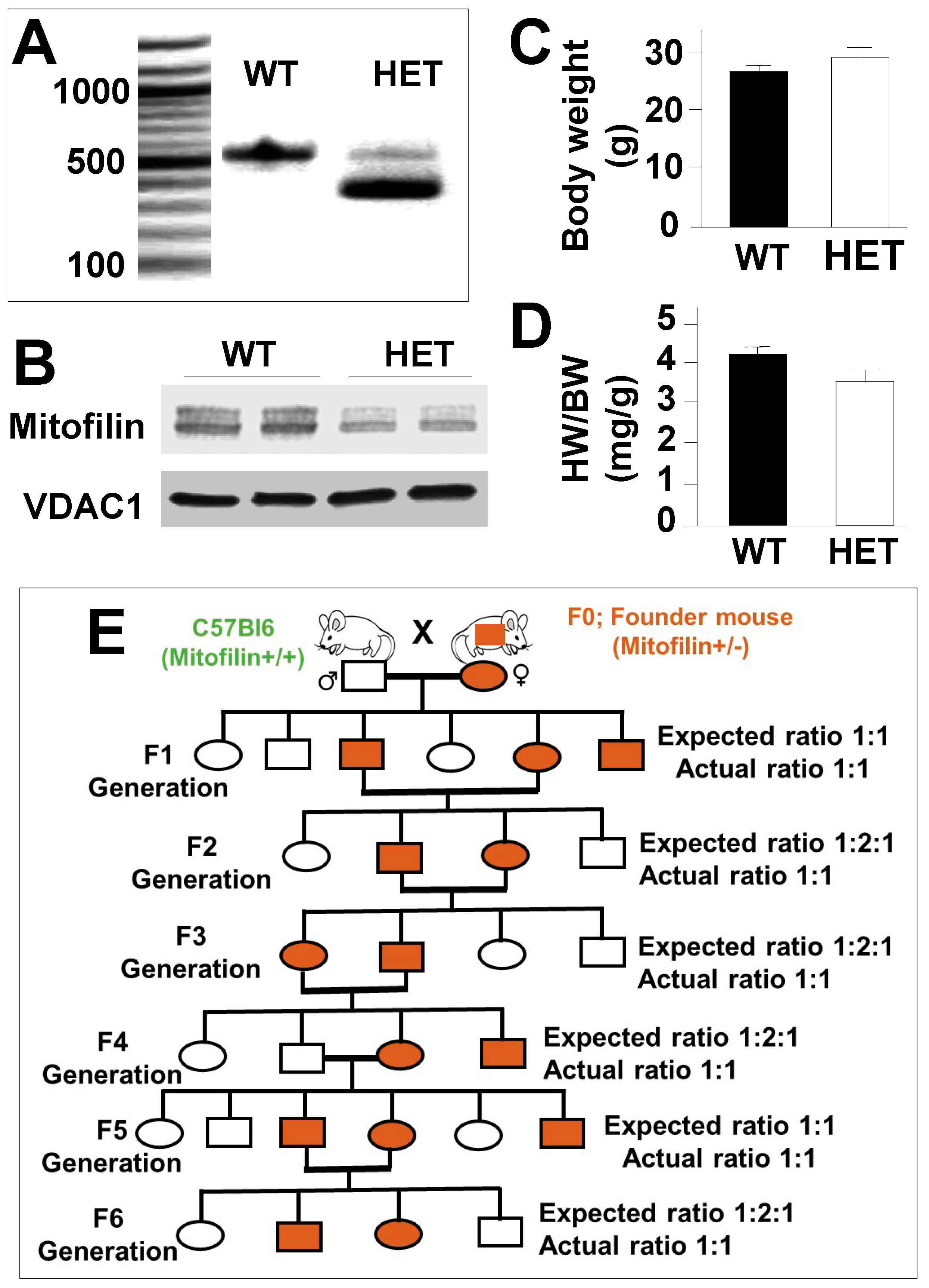 Antioxidants 12 00921 g001