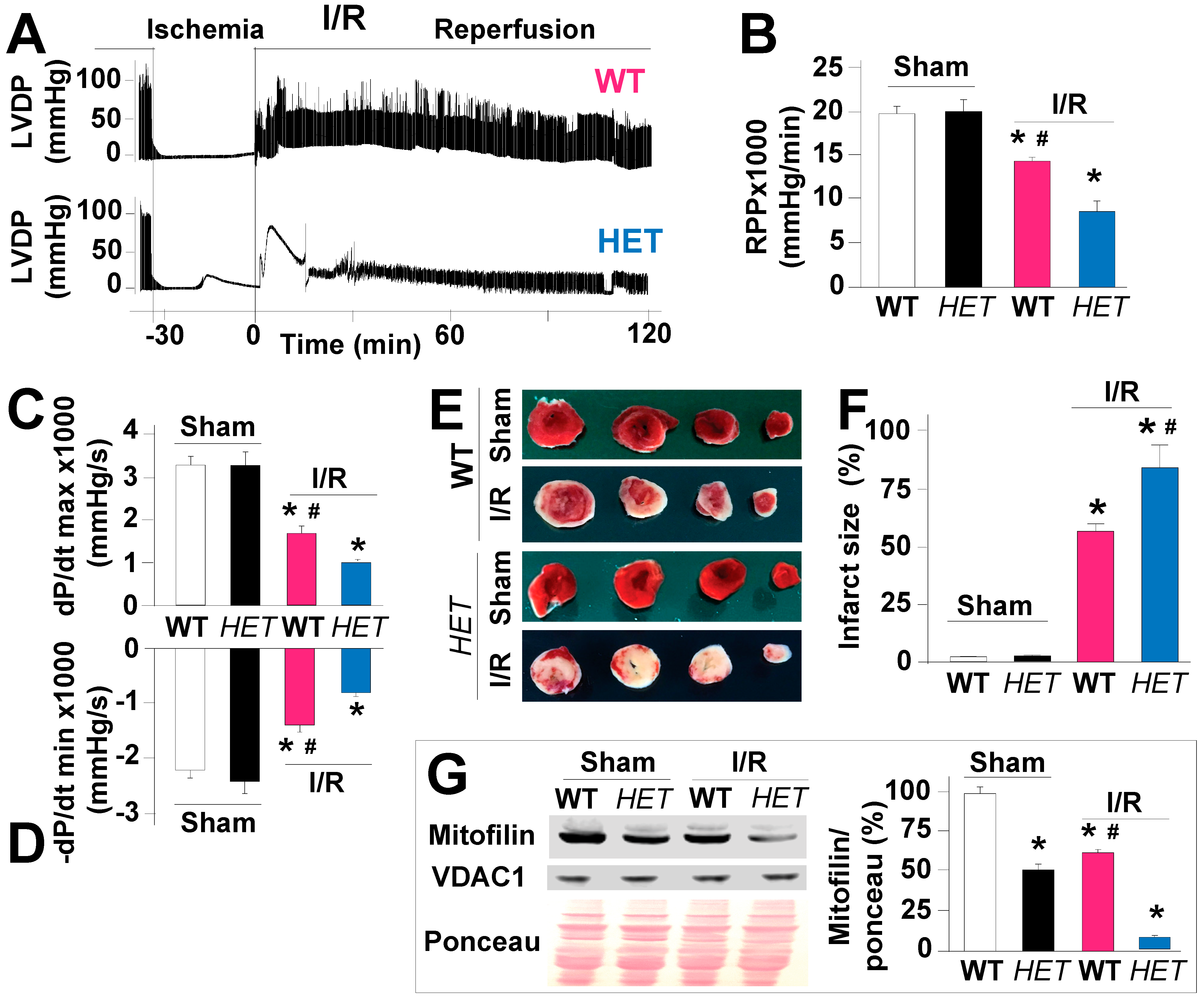 Antioxidants 12 00921 g003