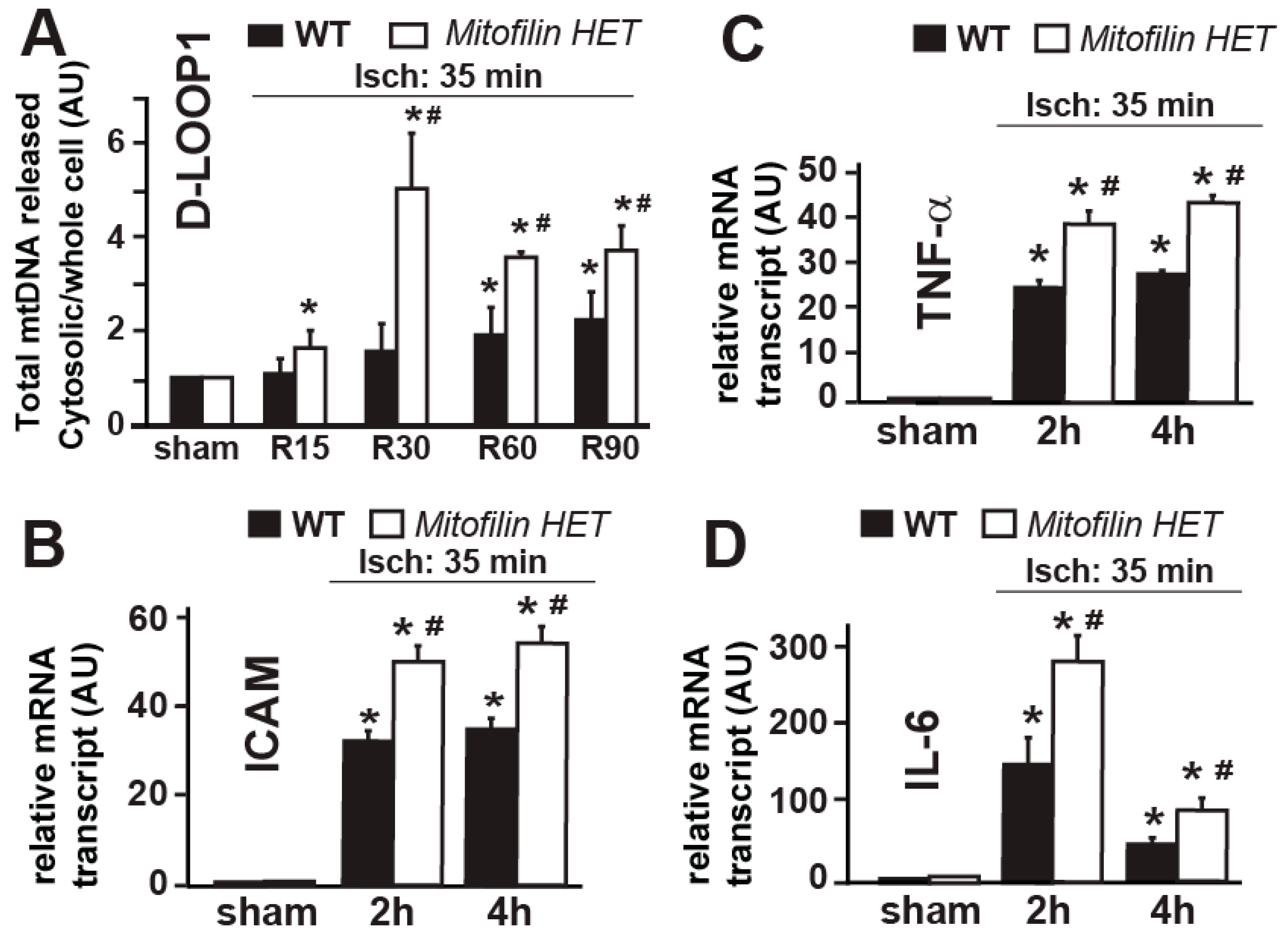 Antioxidants 12 00921 g006