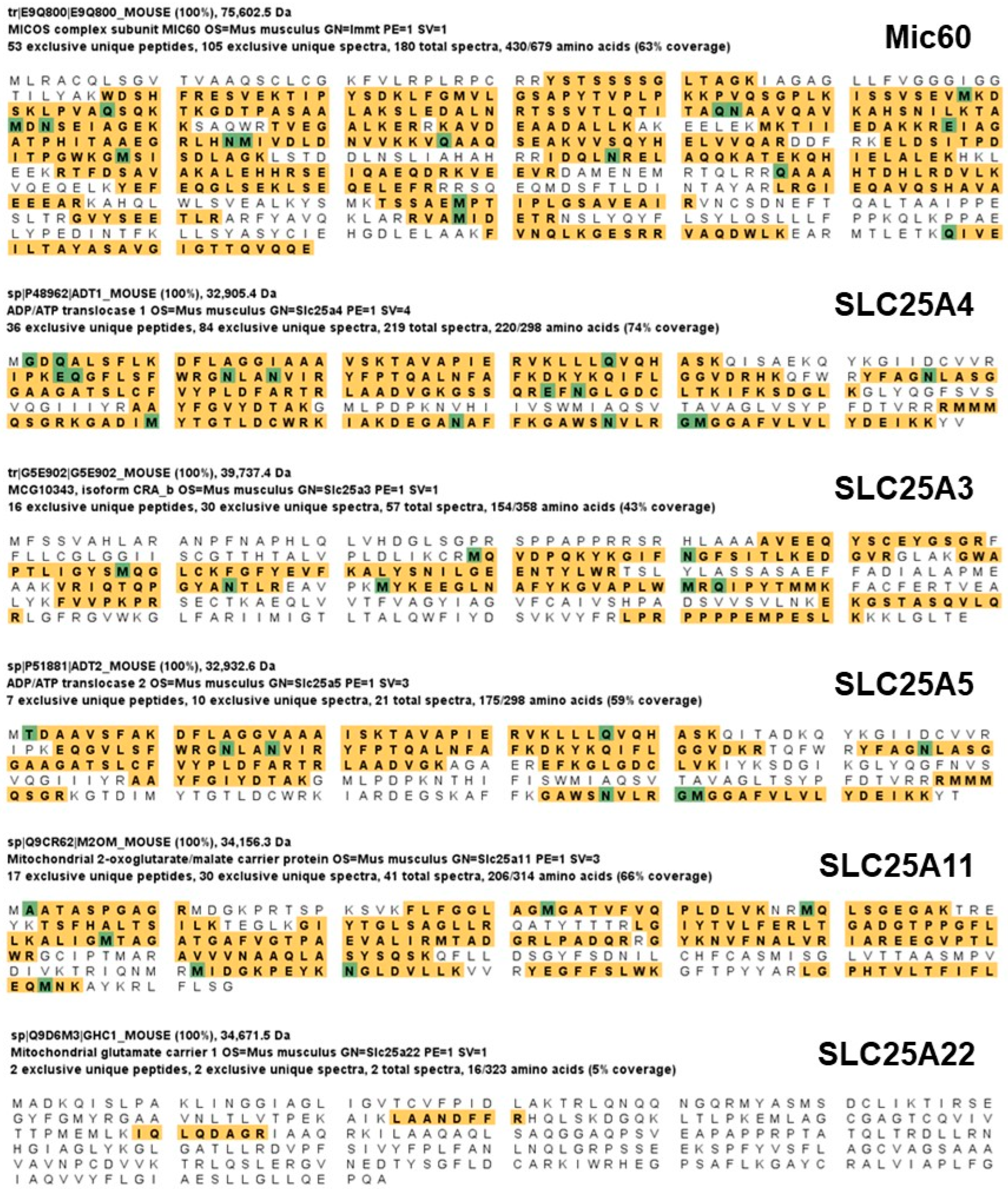 Antioxidants 12 00921 g007