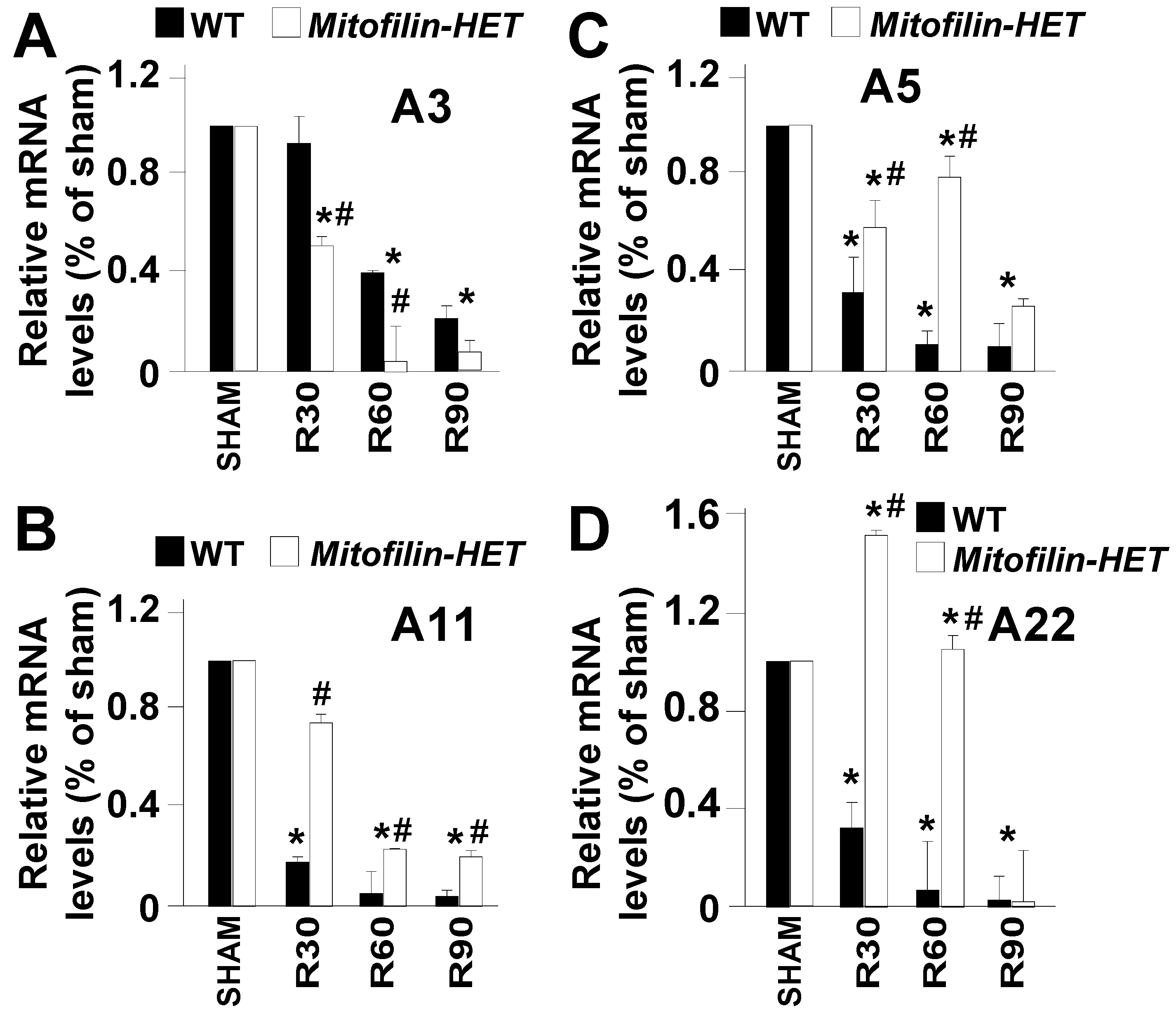 Antioxidants 12 00921 g008