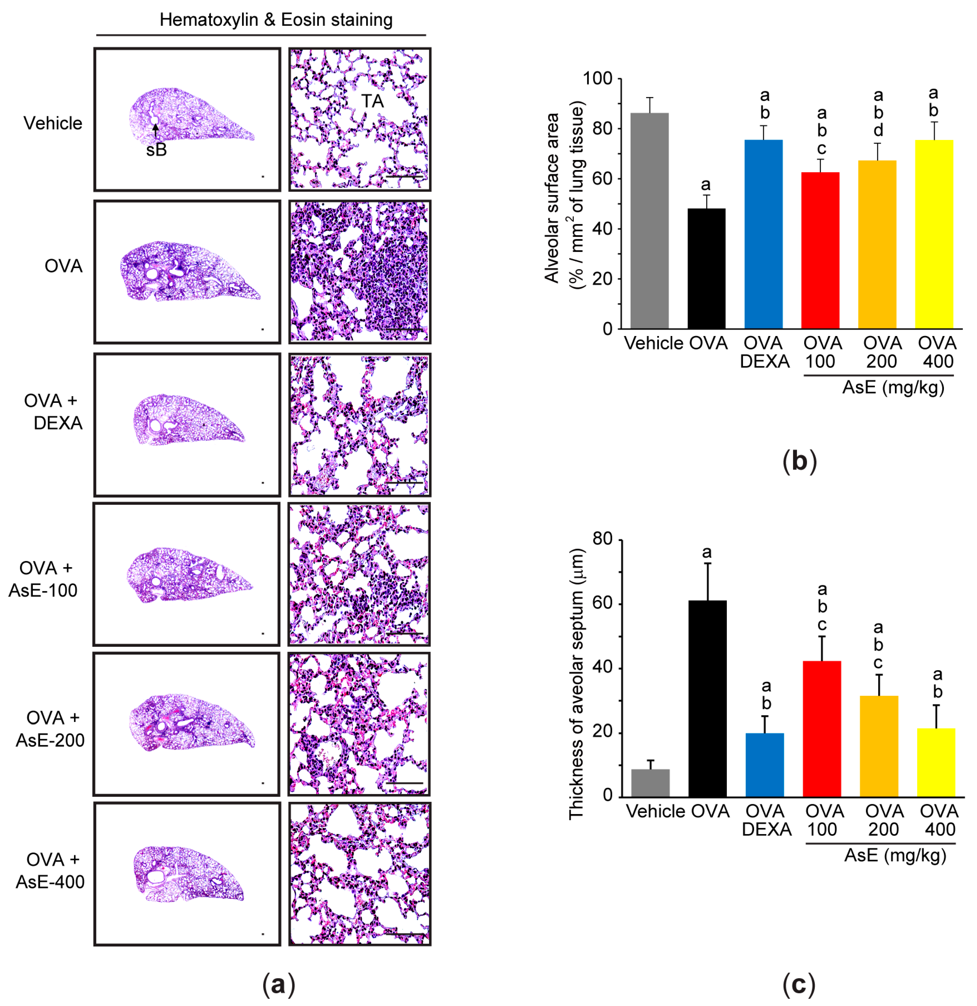 Antioxidants 12 00922 g002