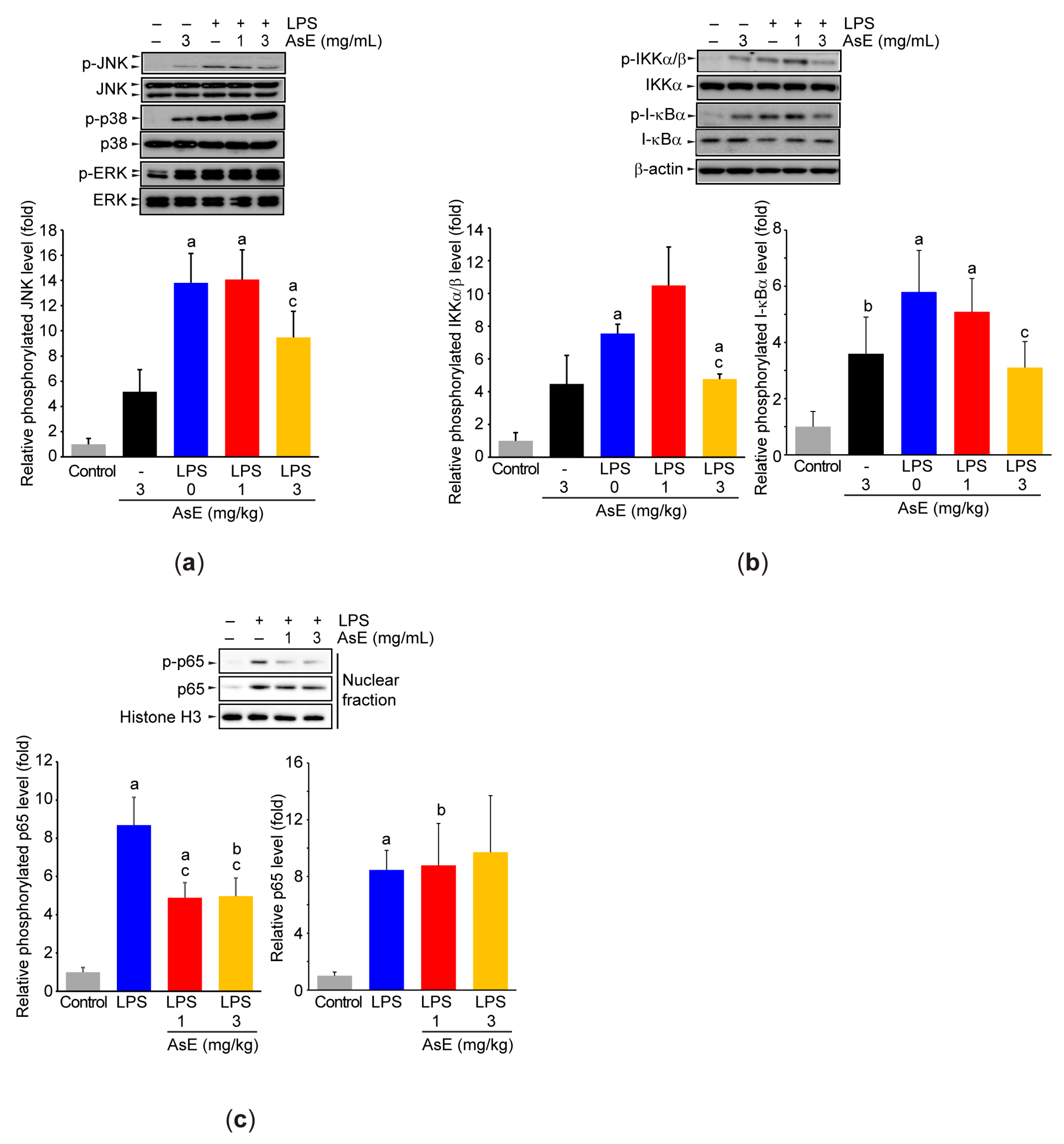 Antioxidants 12 00922 g007