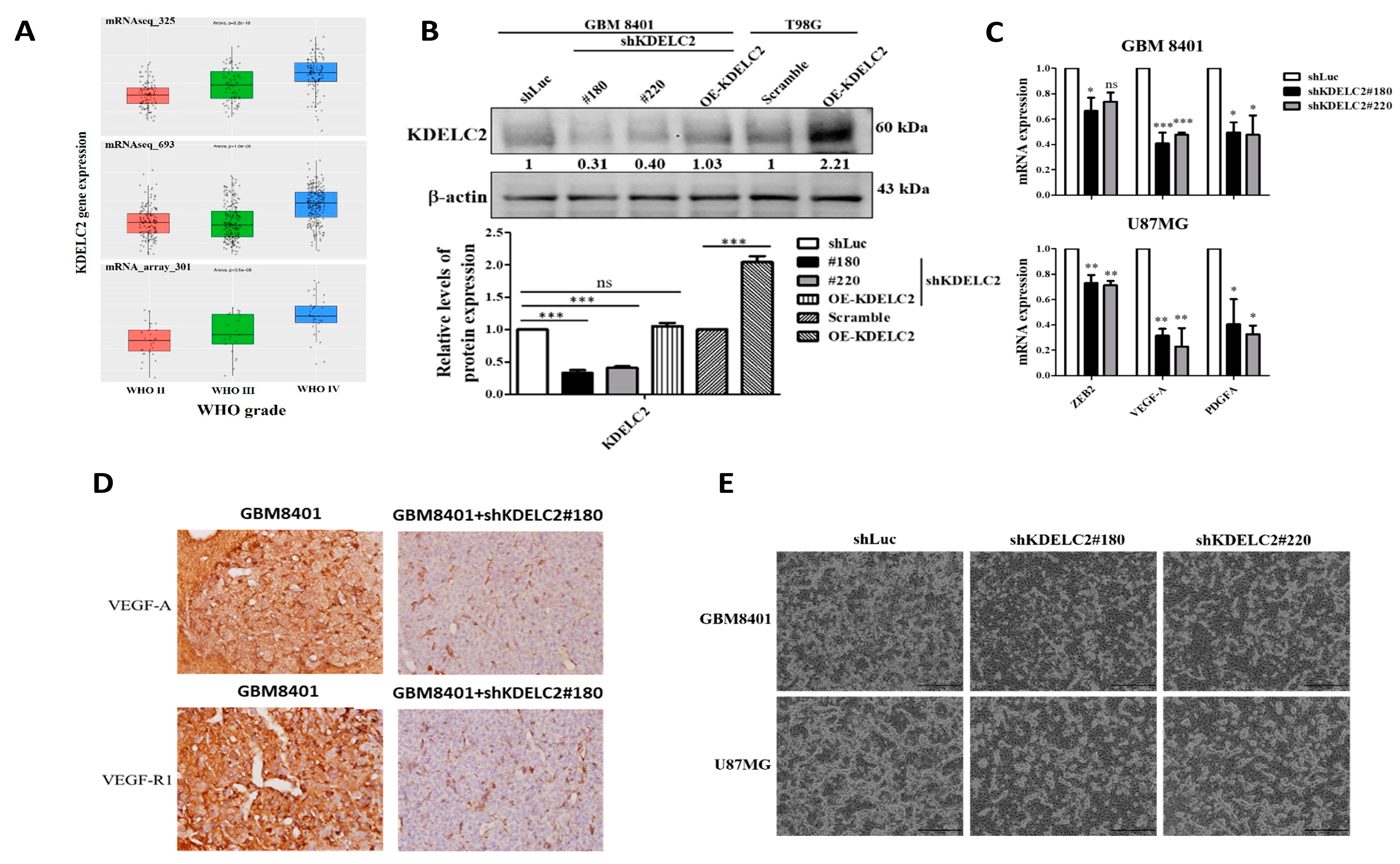 Antioxidants 12 00923 g001