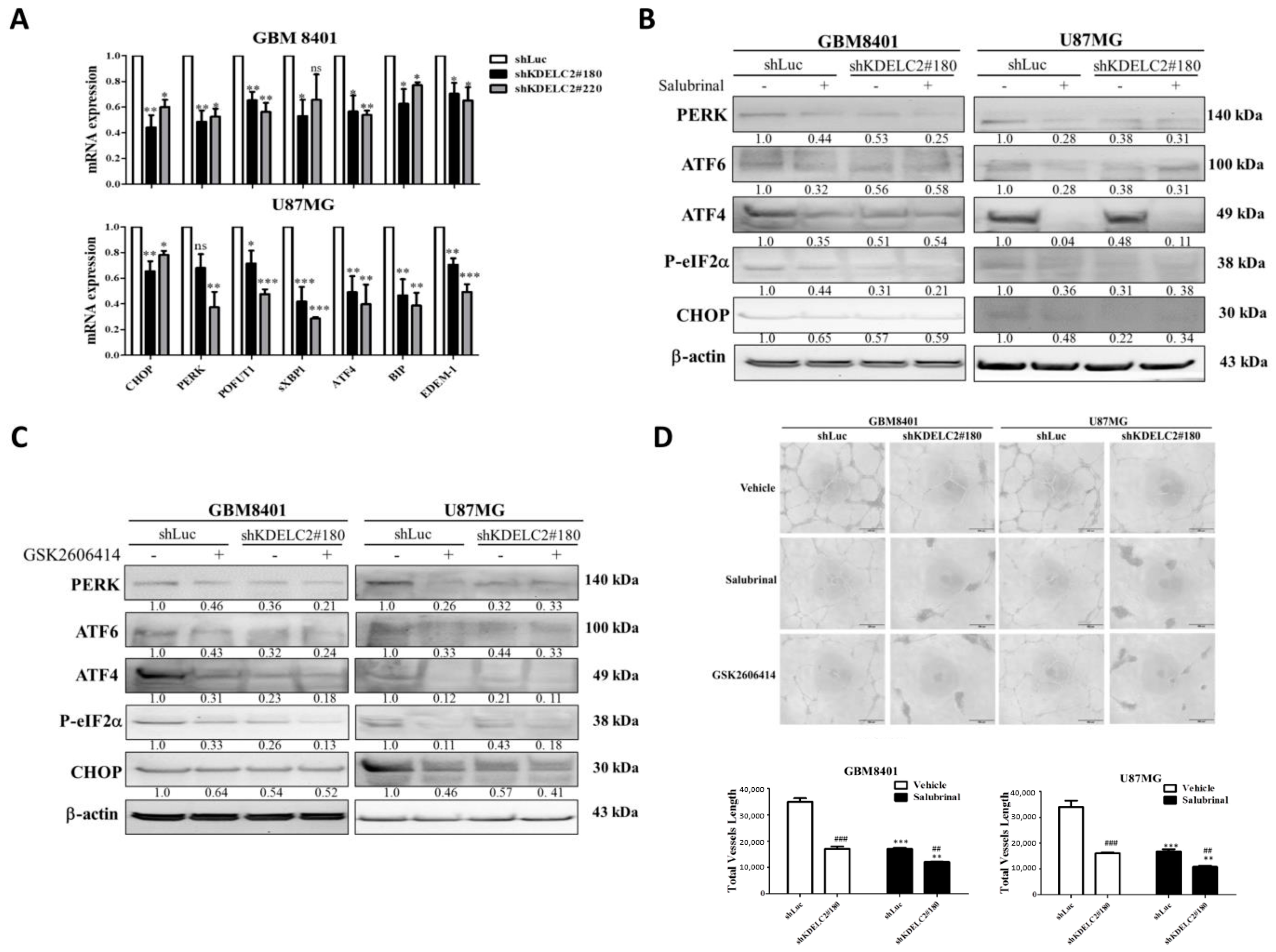 Antioxidants 12 00923 g003