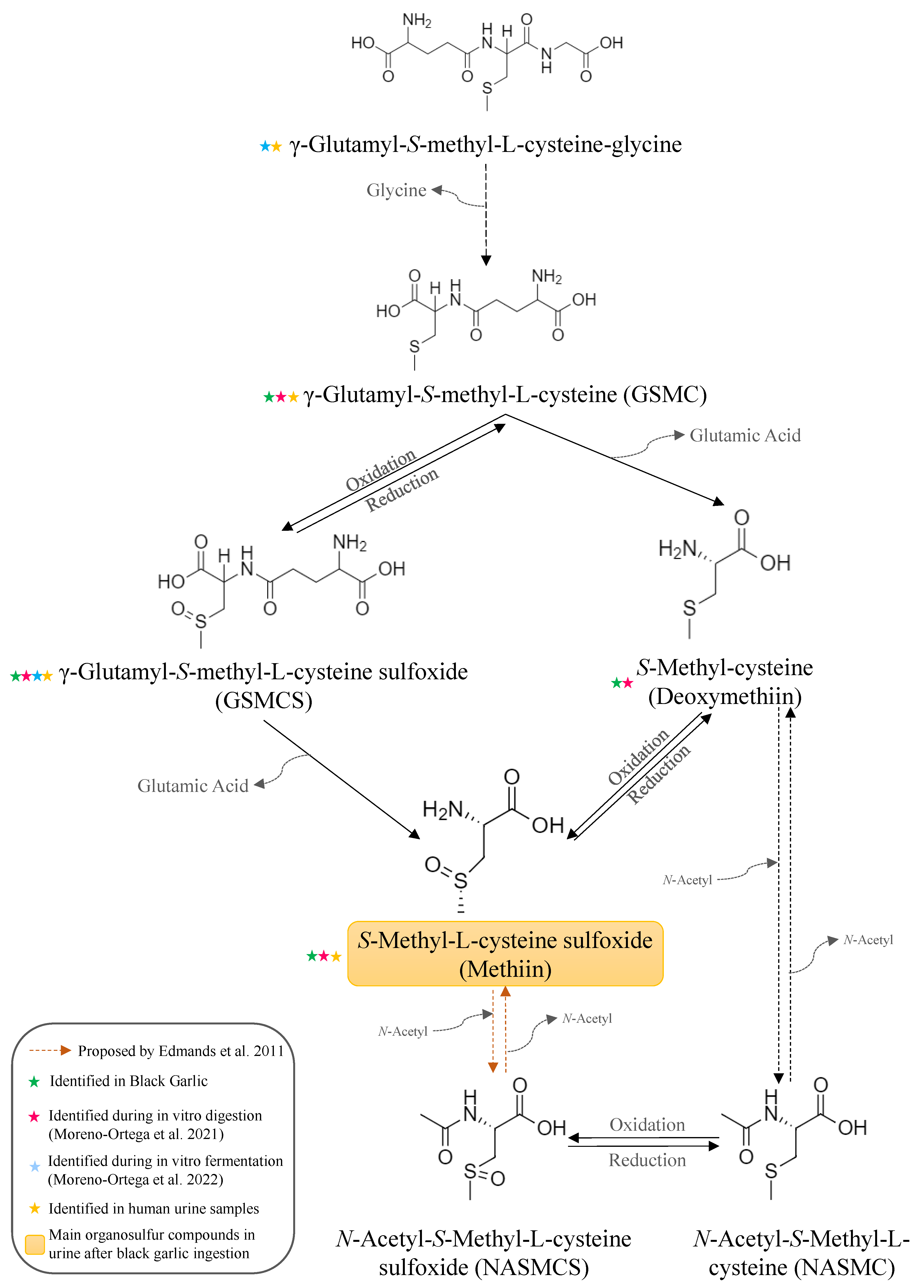 Antioxidants 12 00925 g005 Antioxidants 12 00925 g005