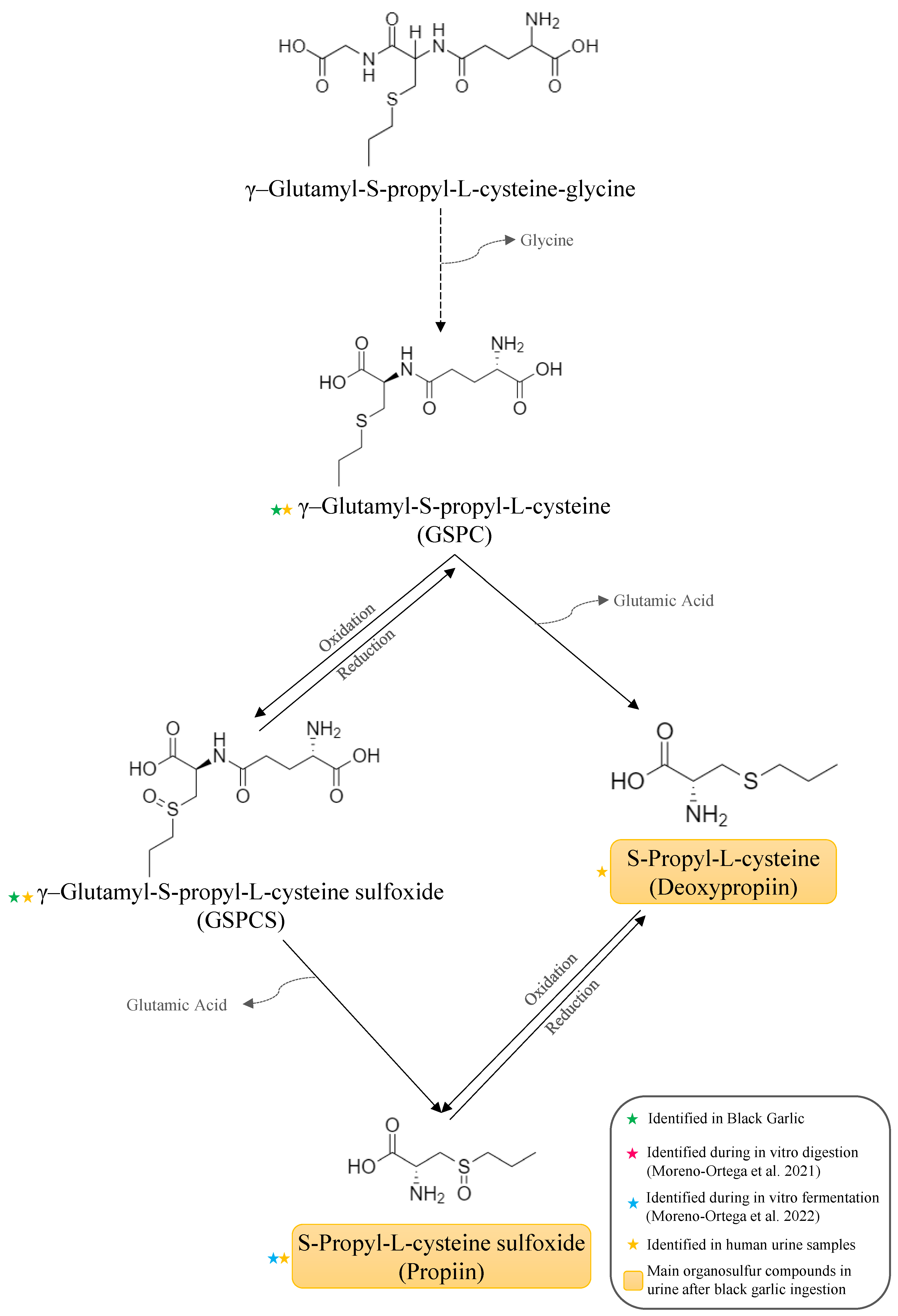 Antioxidants 12 00925 g006 Antioxidants 12 00925 g006