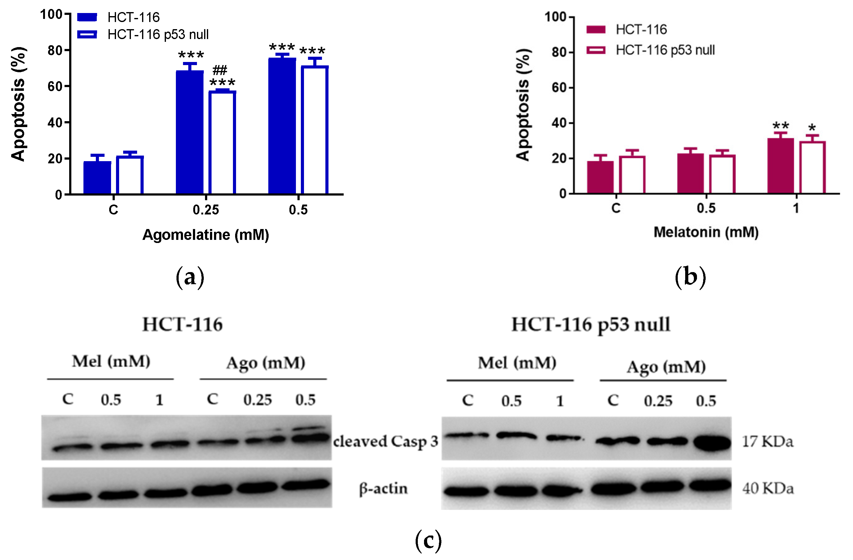 Antioxidants 12 00926 g003