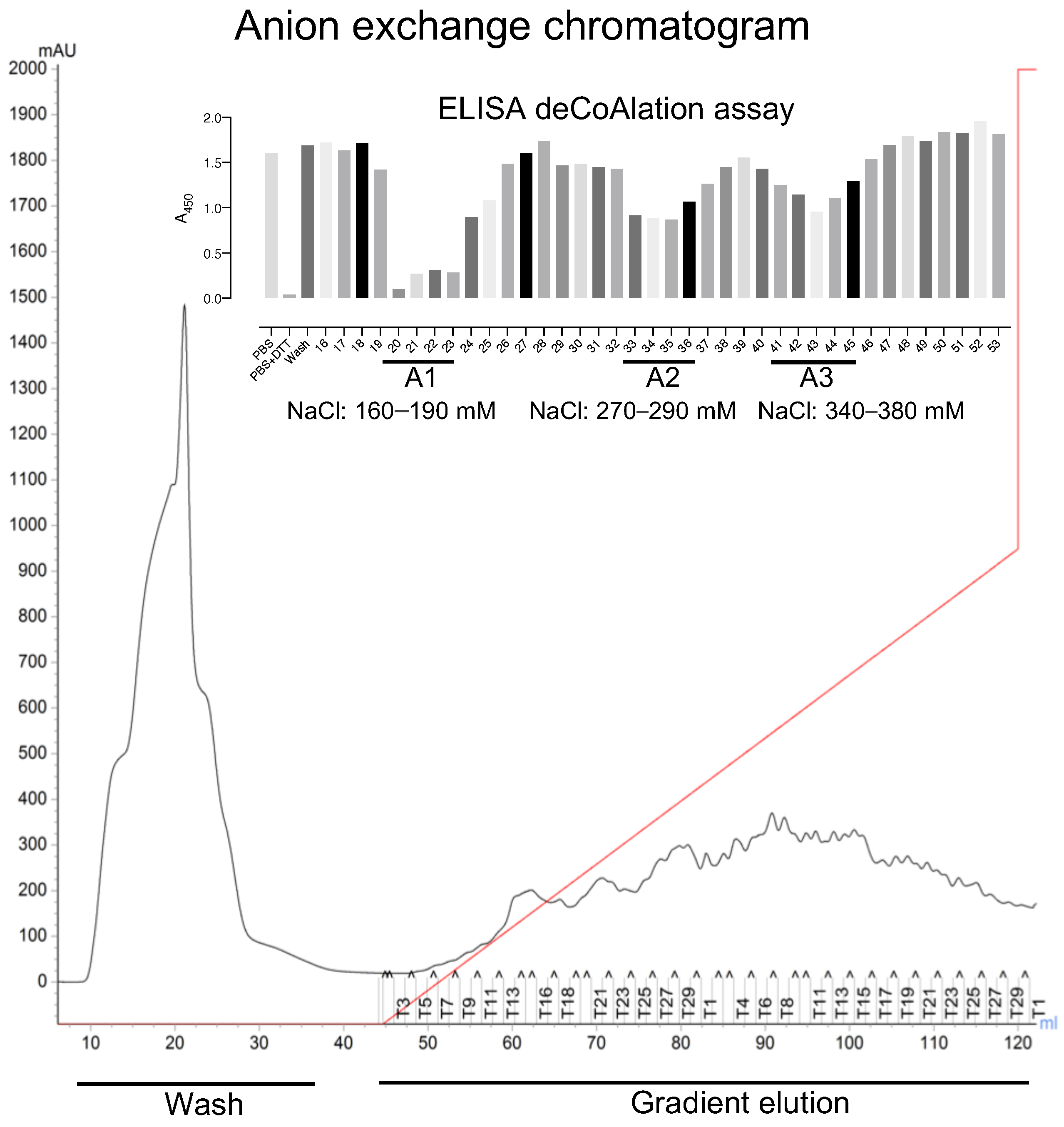 Antioxidants 12 00938 g002