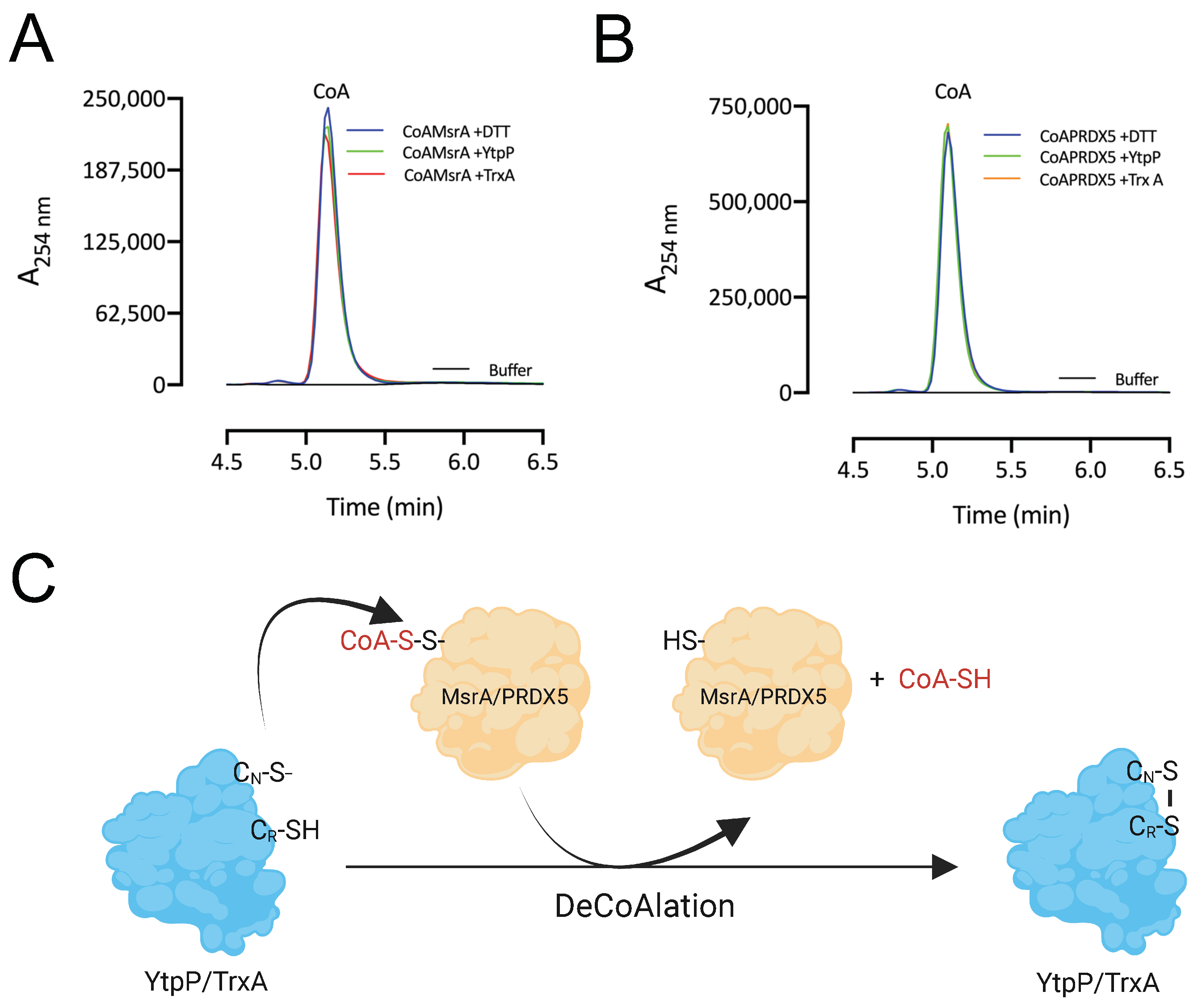 Antioxidants 12 00938 g006