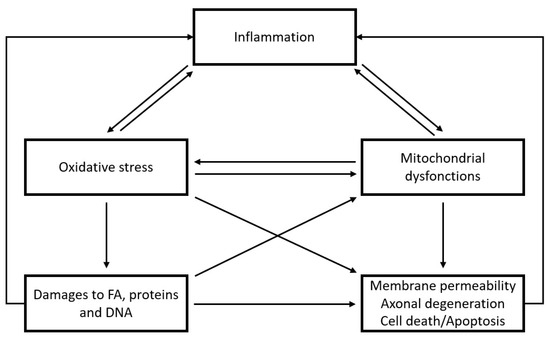 Antioxidants 12 00942 g003