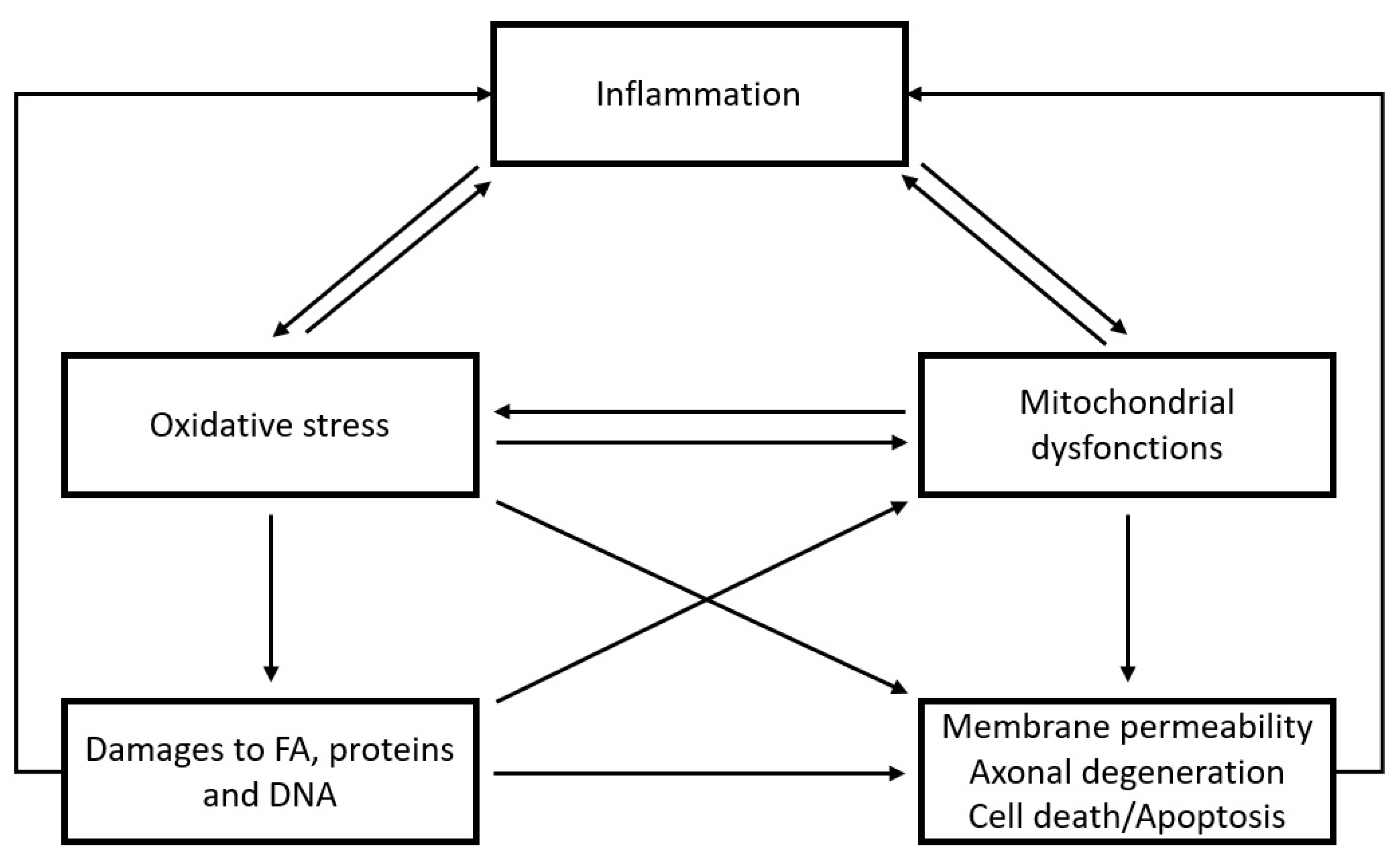 Antioxidants 12 00942 g003 Antioxidants 12 00942 g003