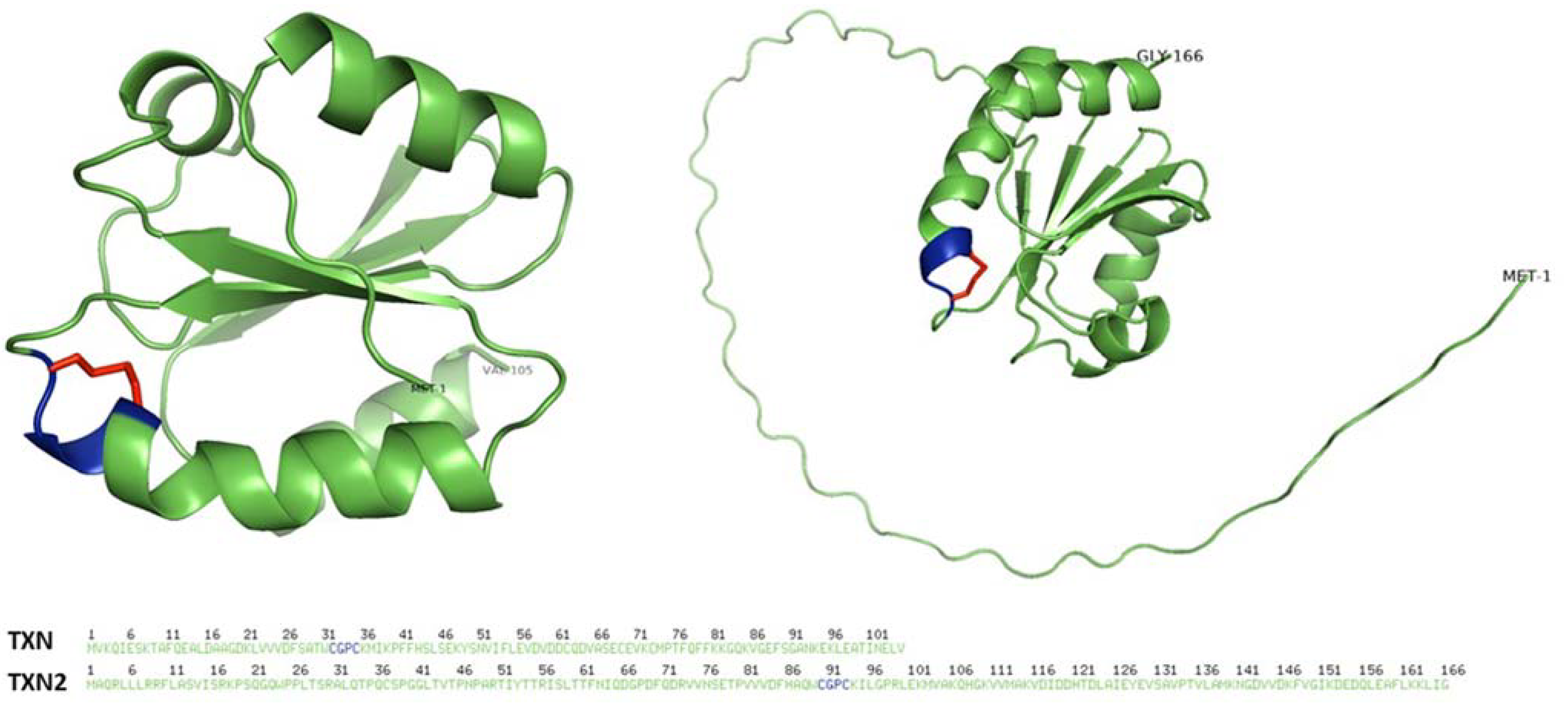 Antioxidants 12 00944 g002 Antioxidants 12 00944 g002