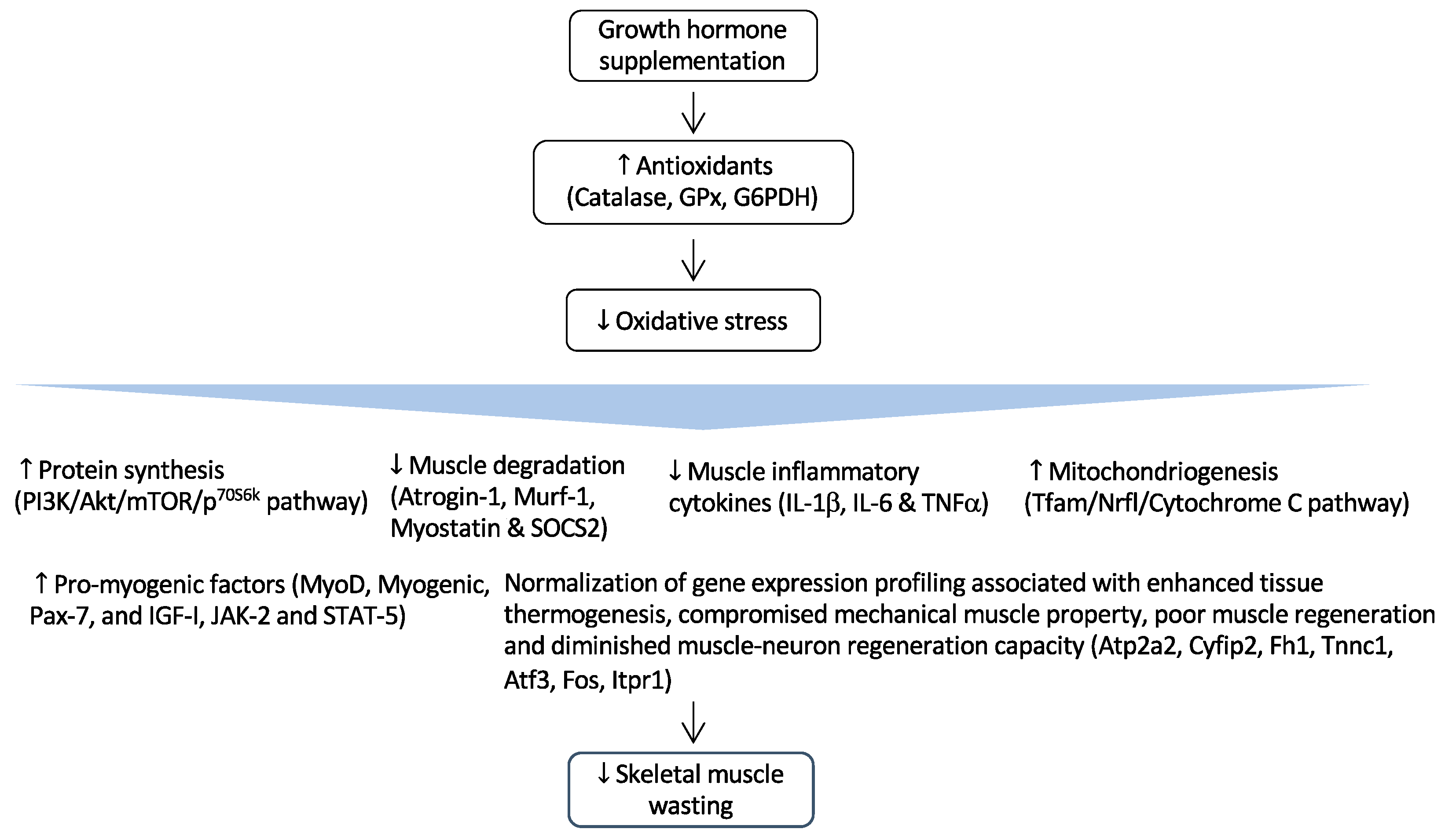 Antioxidants 12 00945 g002