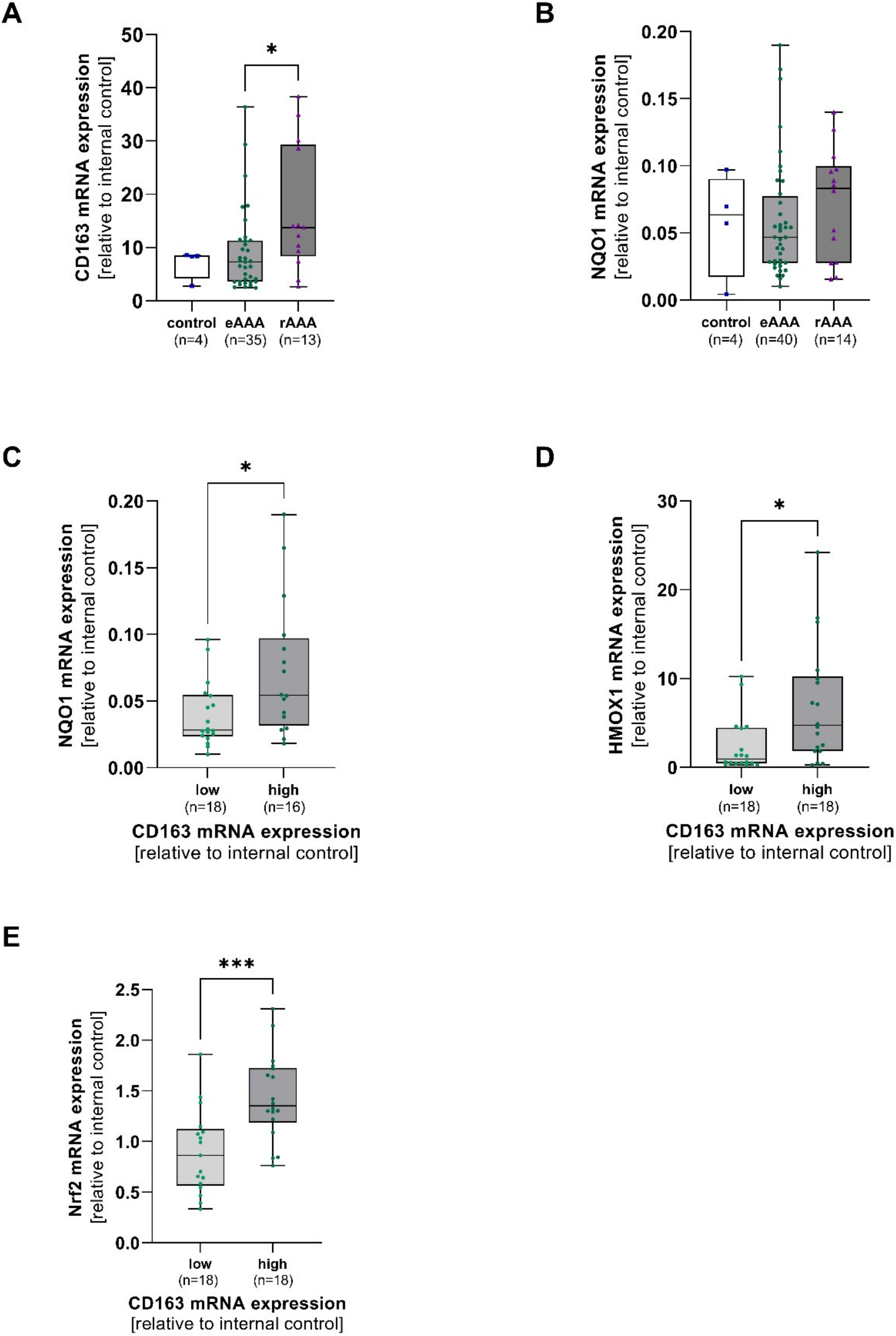 Antioxidants 12 00947 g001
