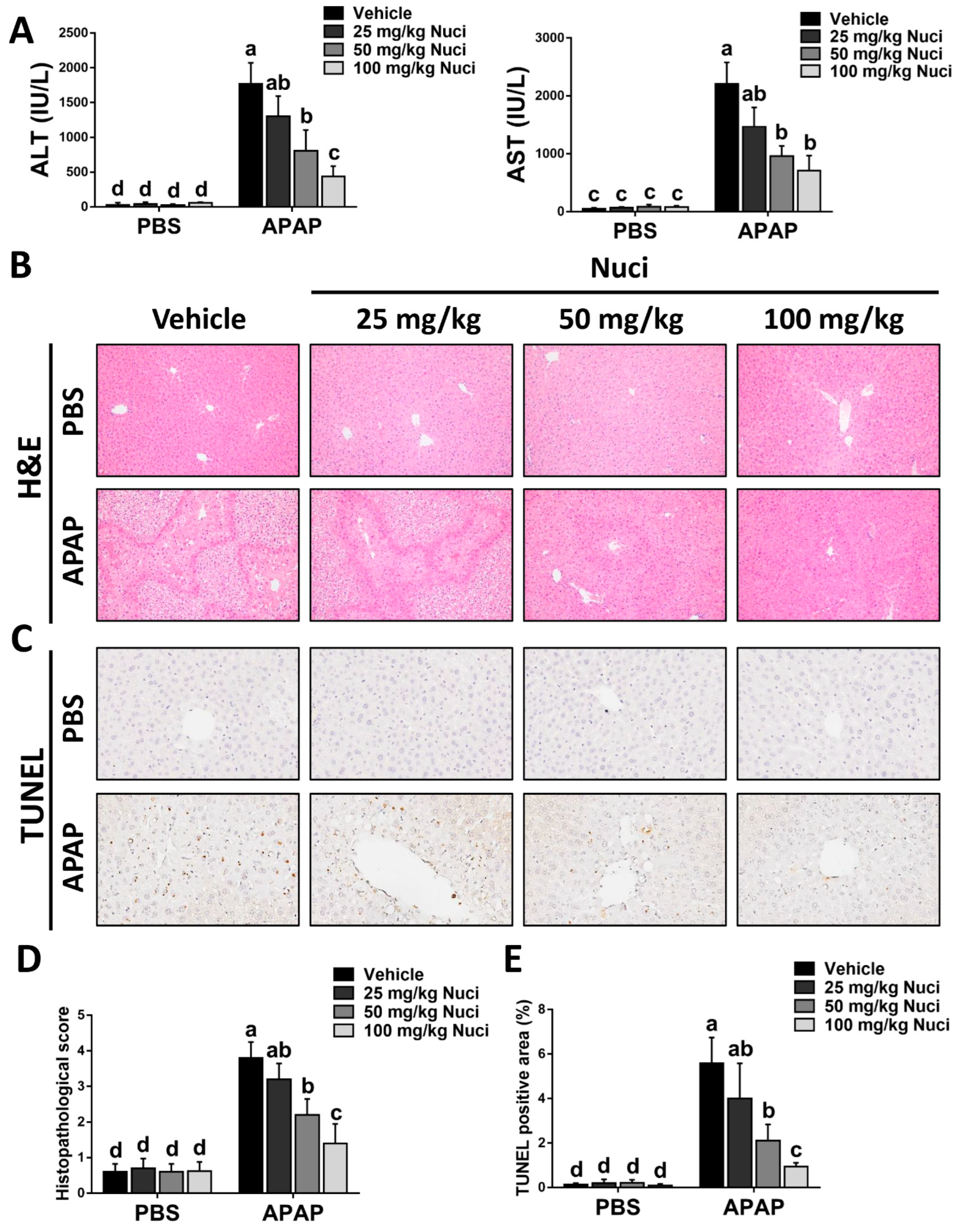 Antioxidants 12 00949 g002