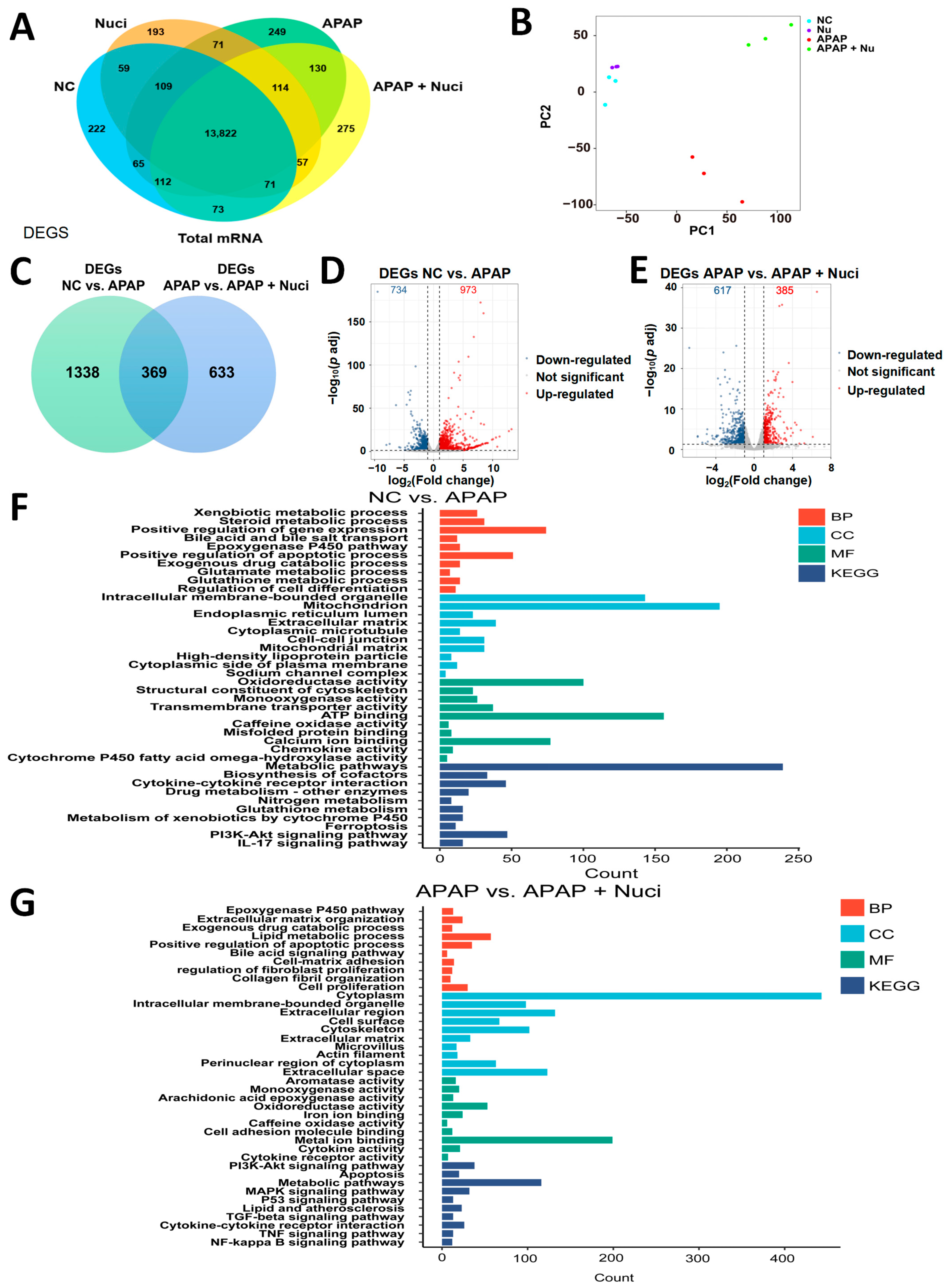 Antioxidants 12 00949 g003