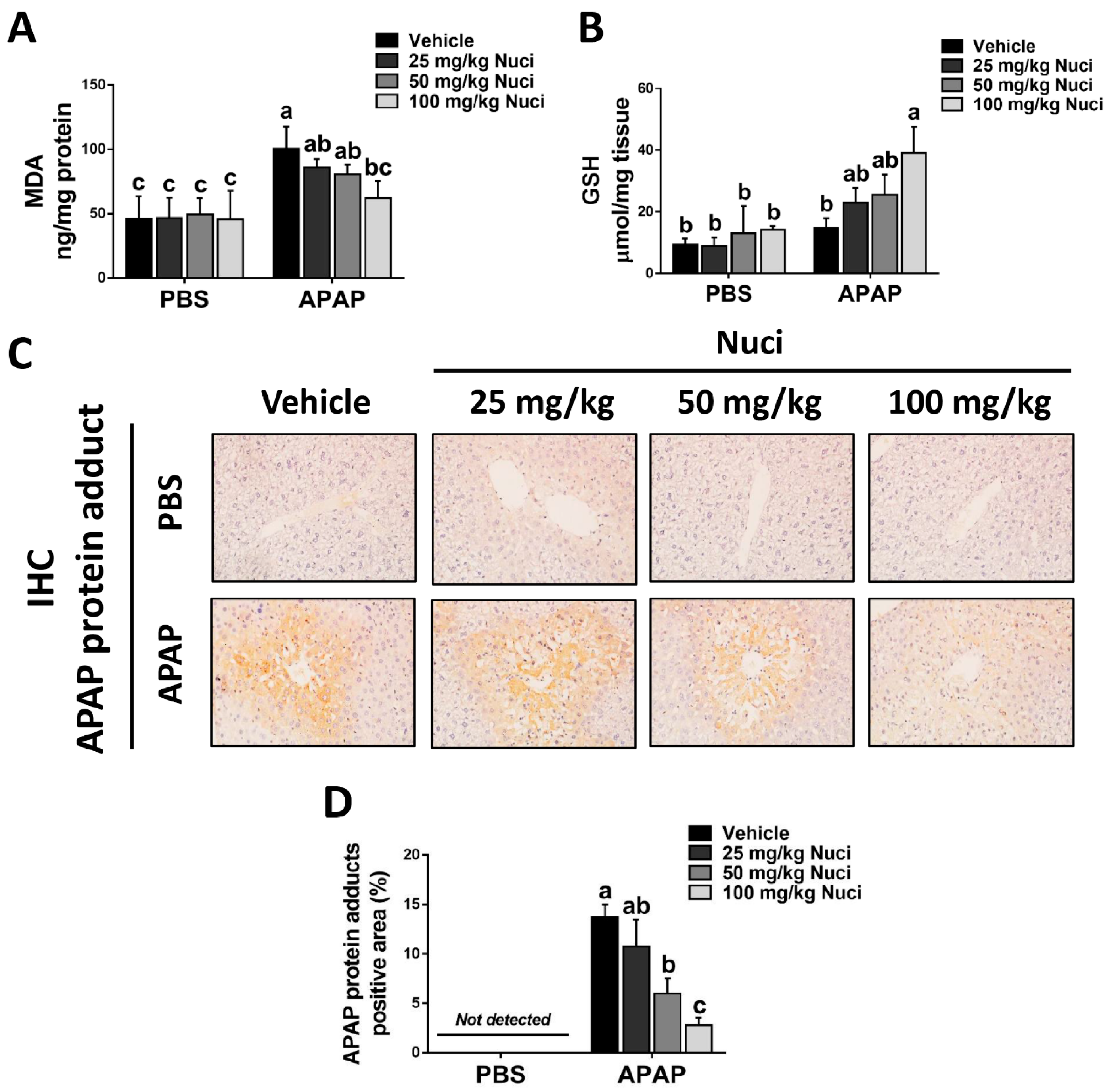 Antioxidants 12 00949 g005