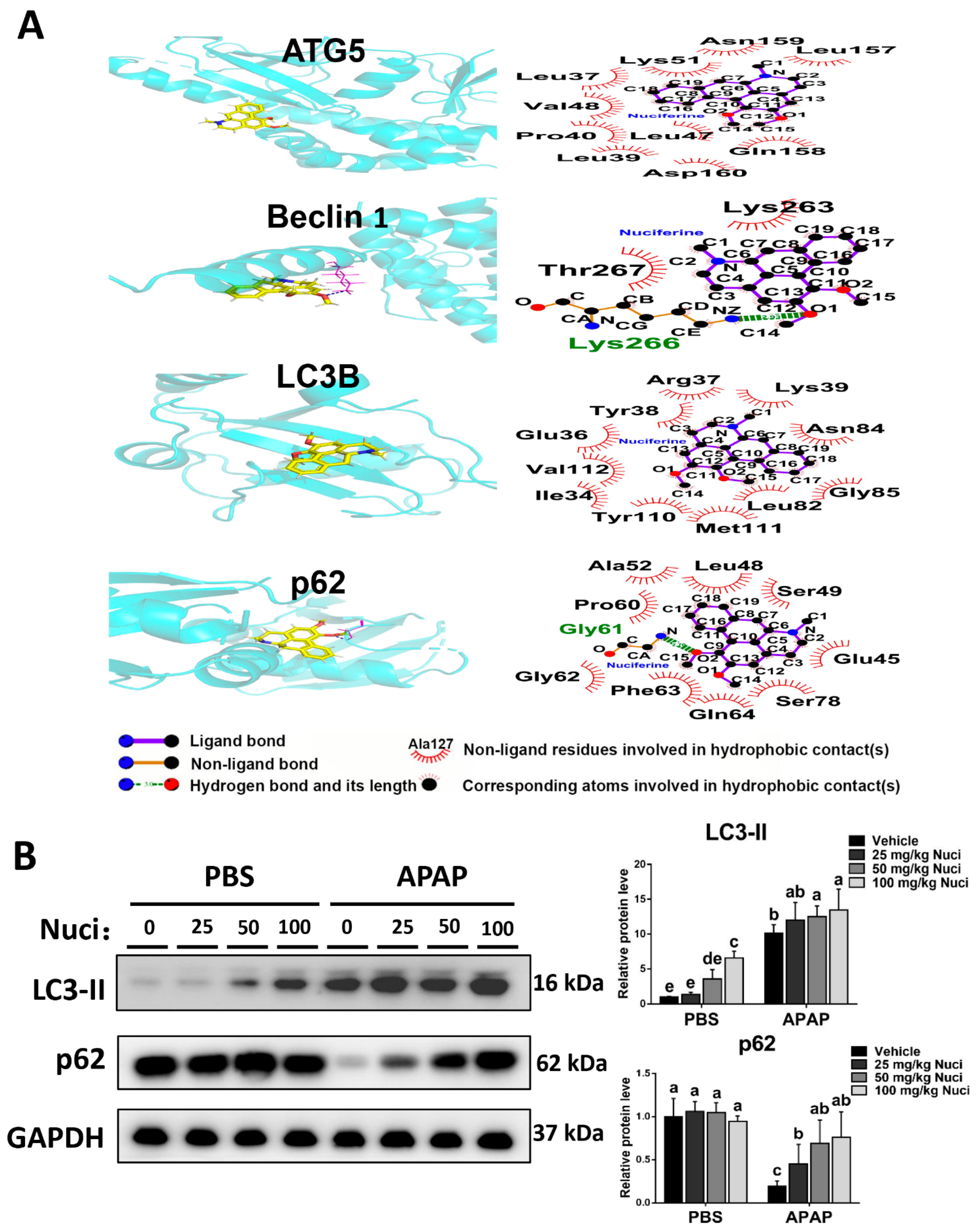 Antioxidants 12 00949 g006