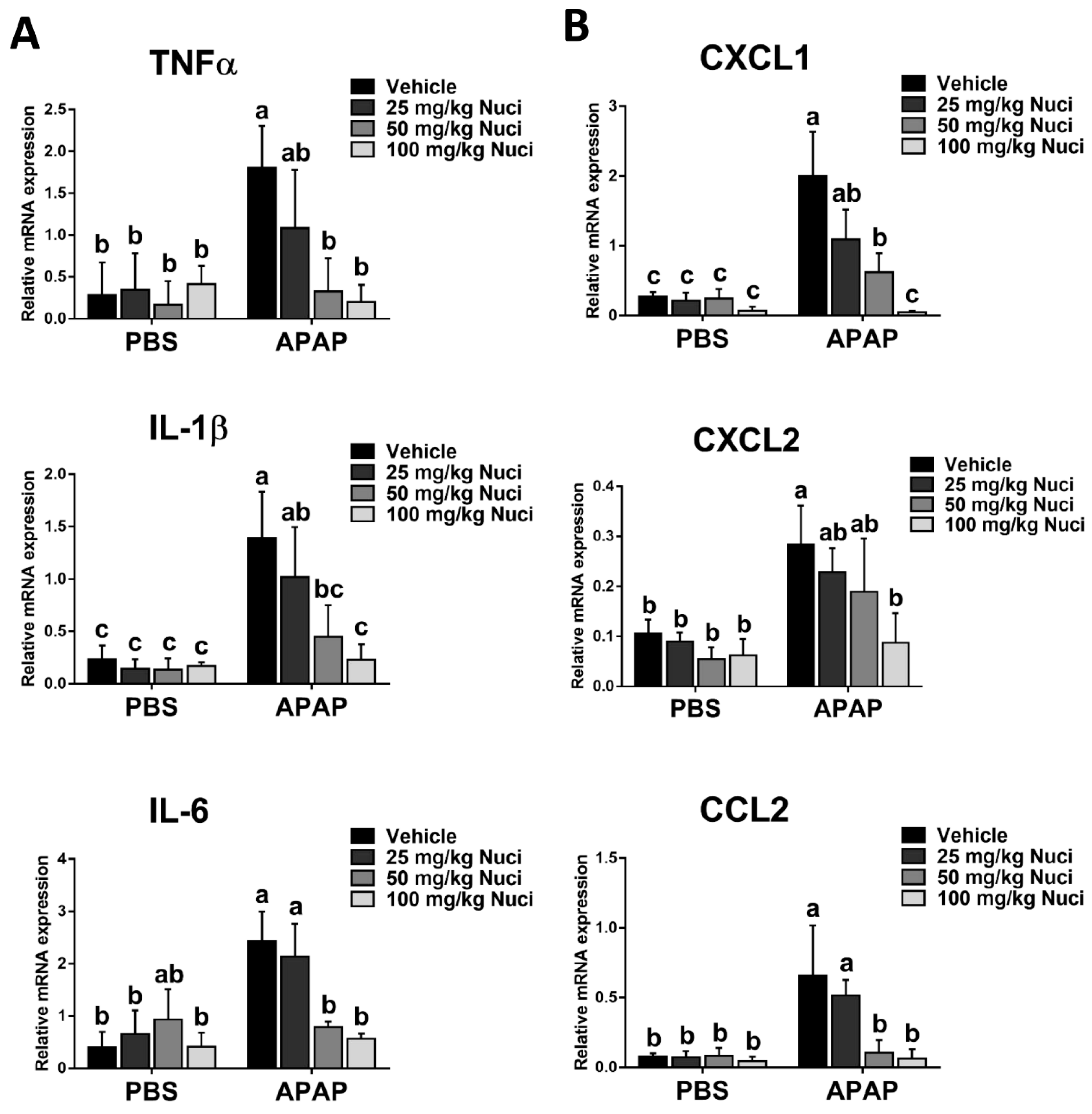 Antioxidants 12 00949 g007