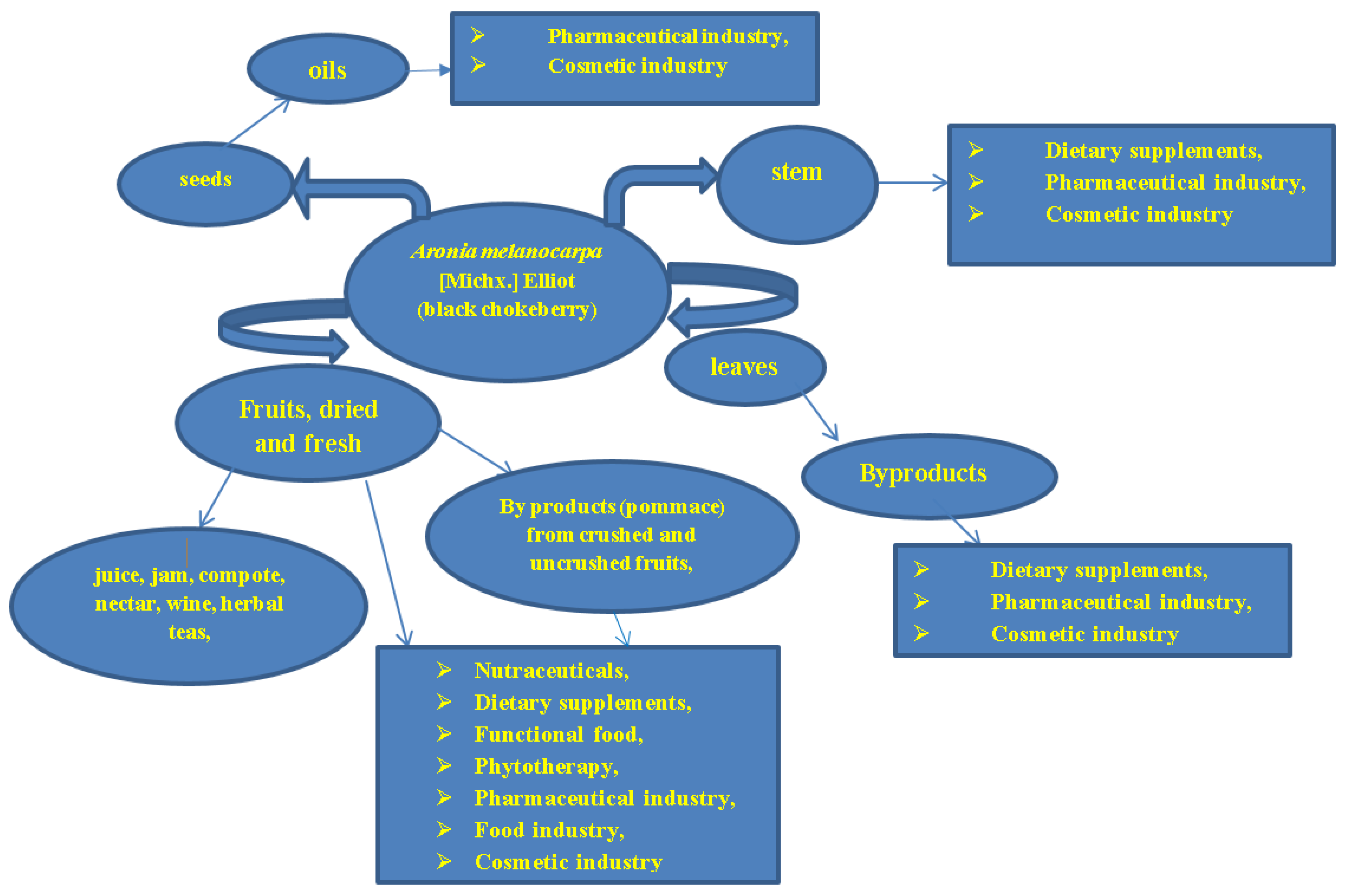 Antioxidants 12 00951 g004