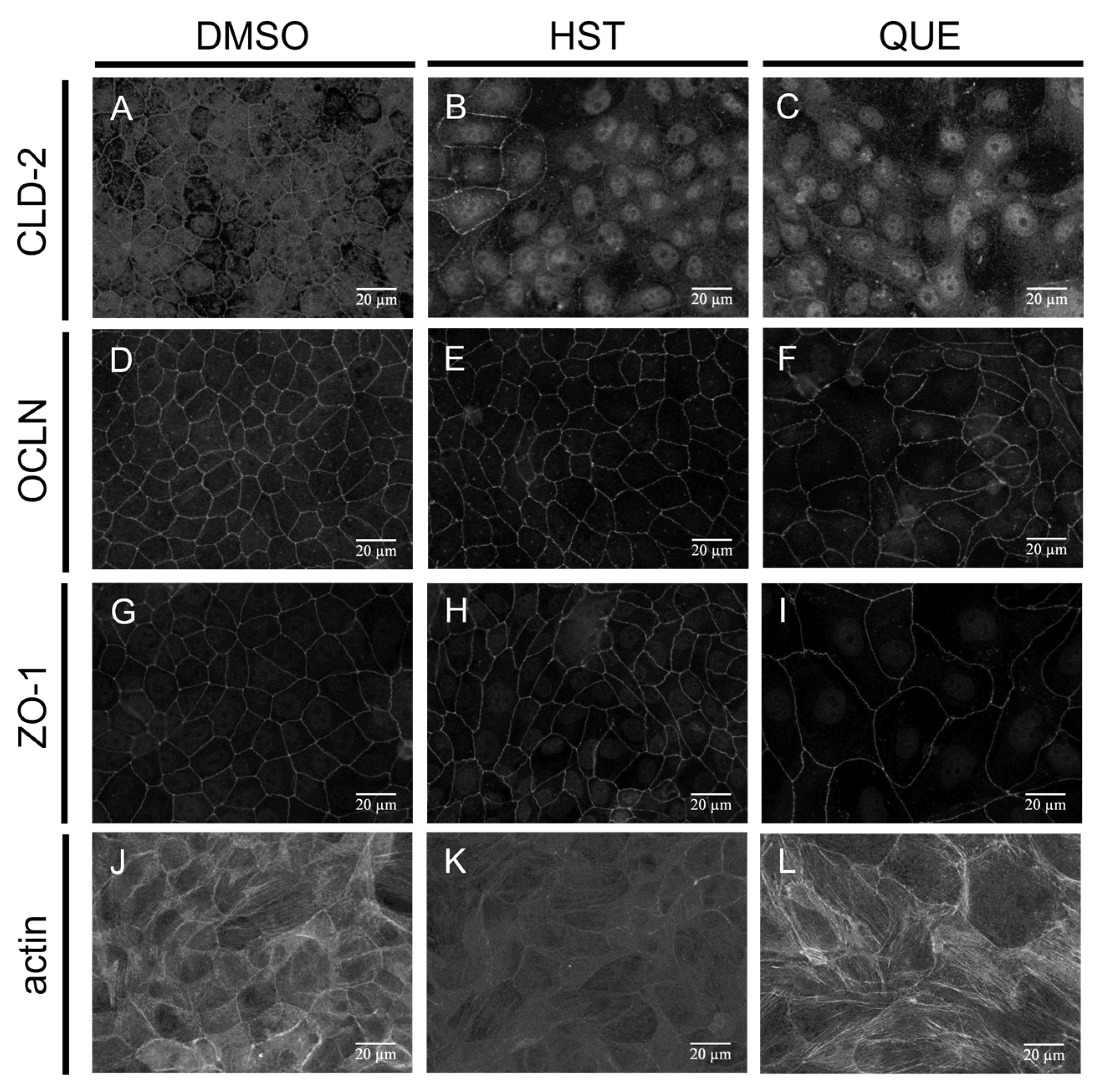 Antioxidants 12 00952 g002