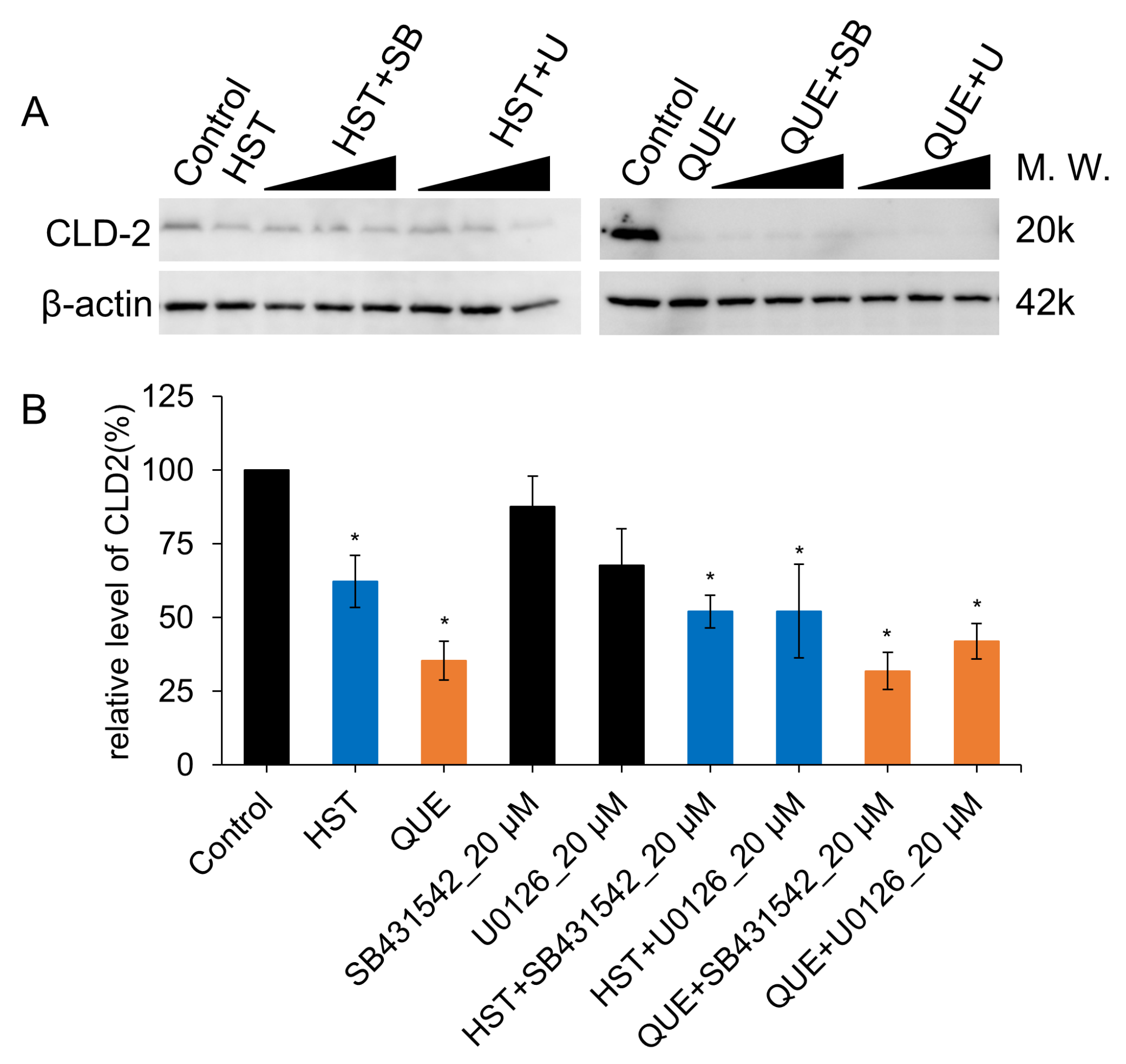 Antioxidants 12 00952 g007