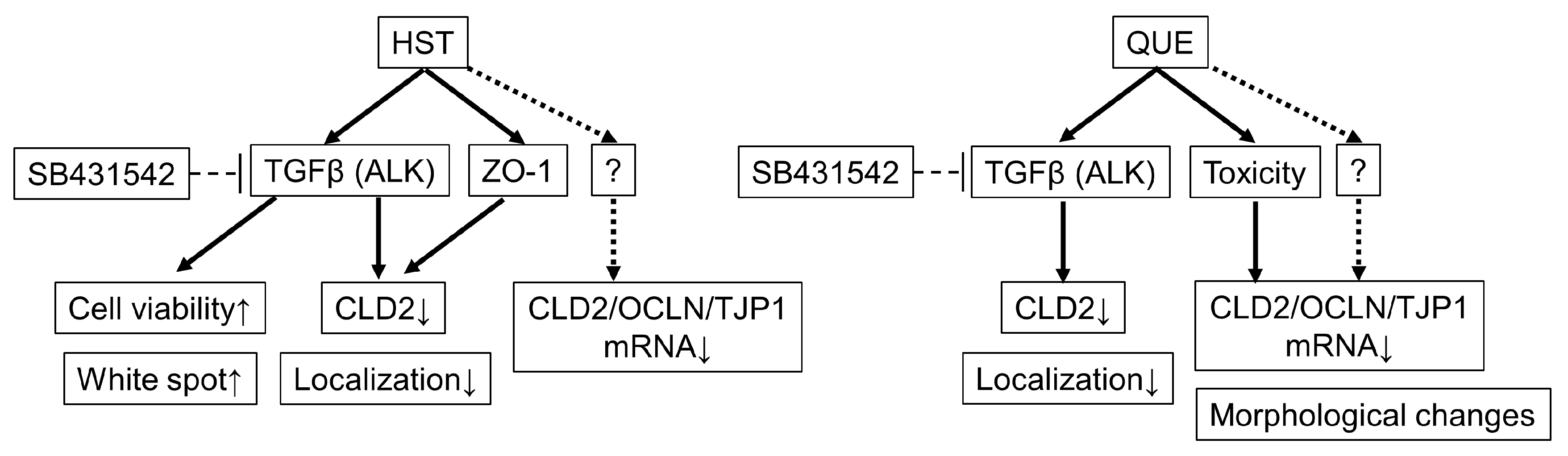 Antioxidants 12 00952 g008