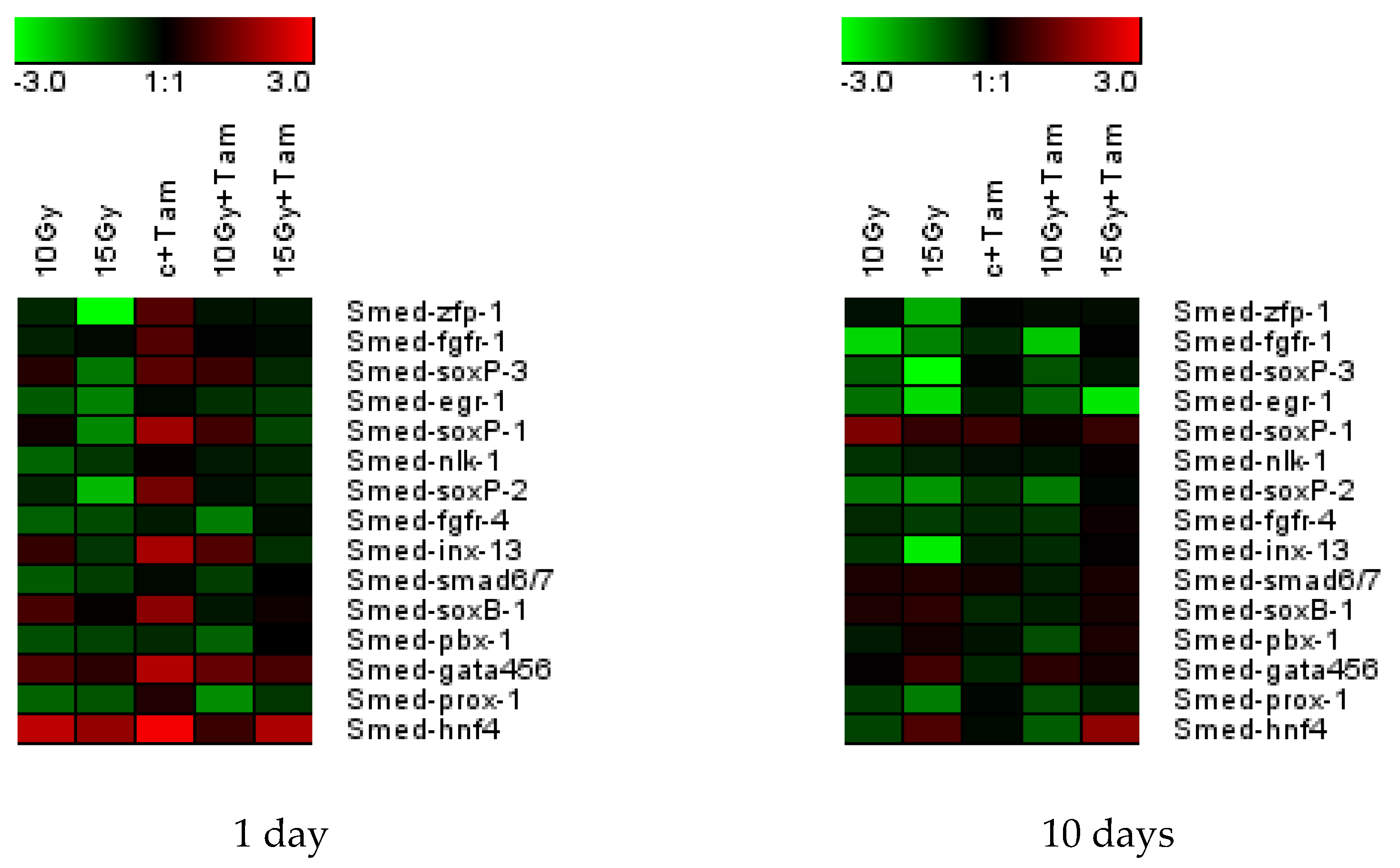 Antioxidants 12 00953 g003