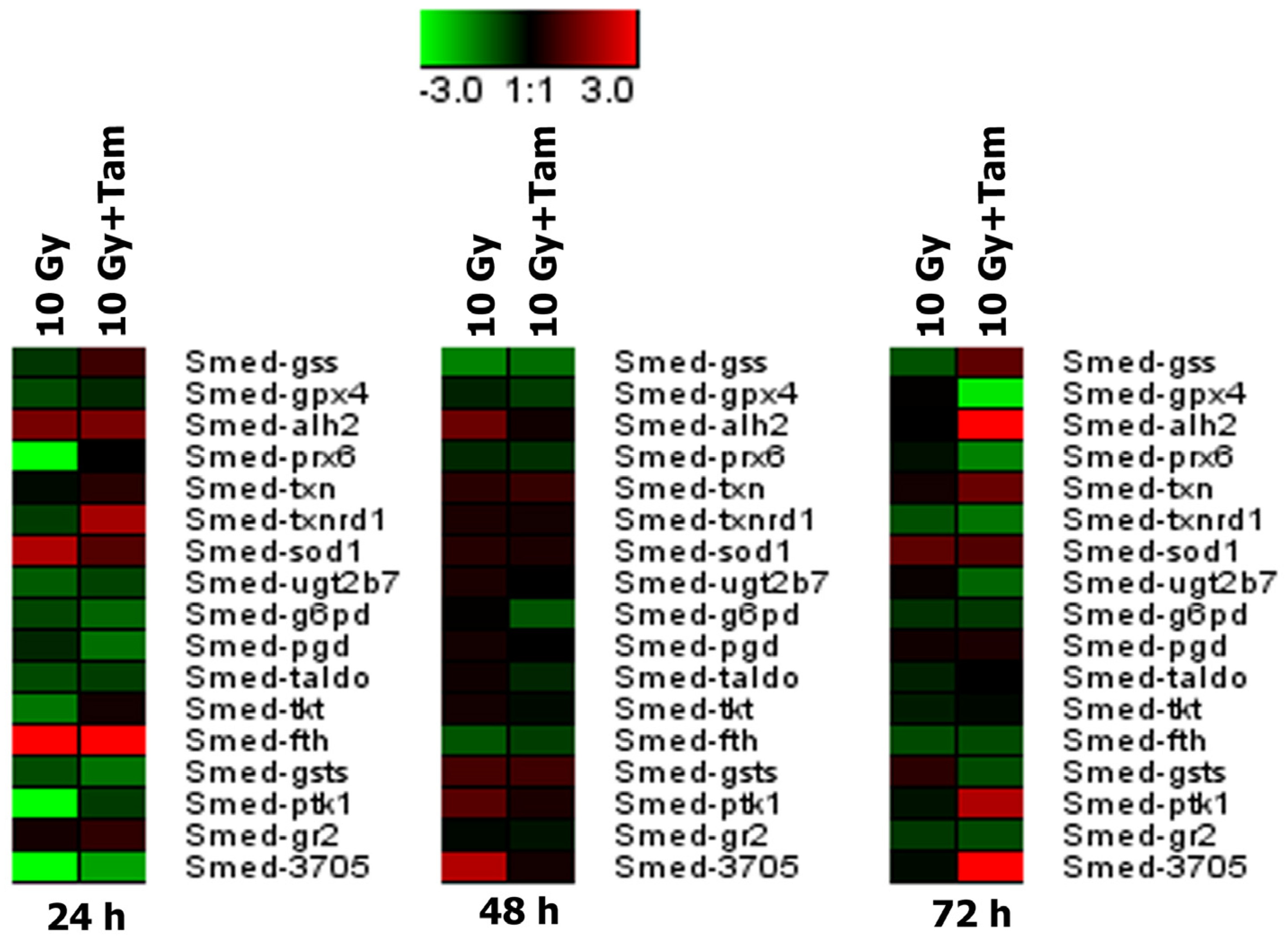 Antioxidants 12 00953 g004