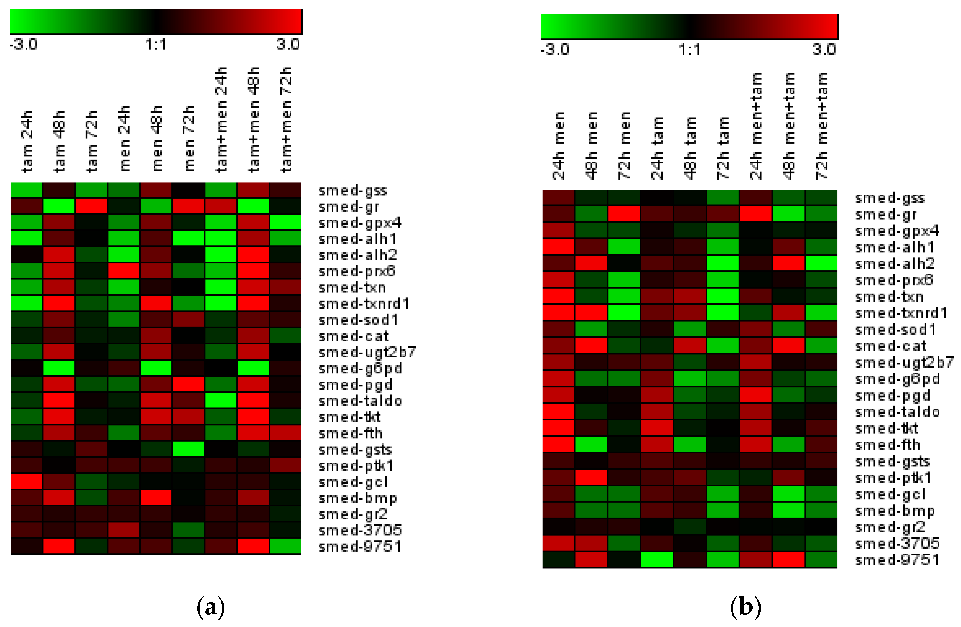 Antioxidants 12 00953 g007