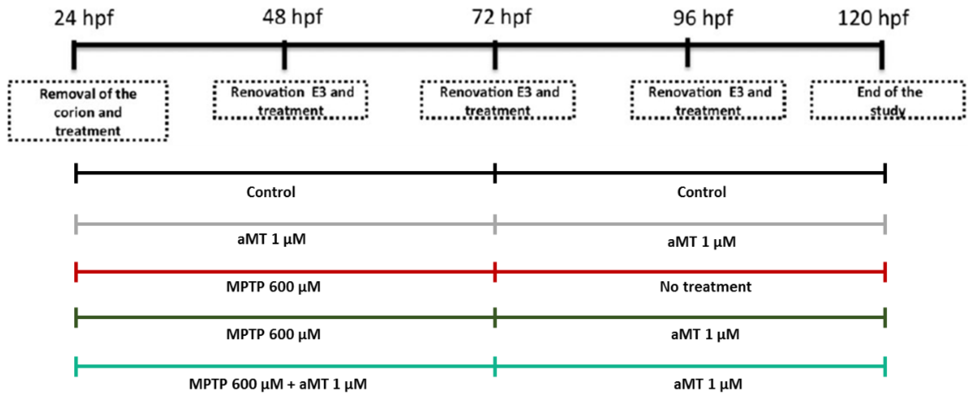 Antioxidants 12 00954 g001