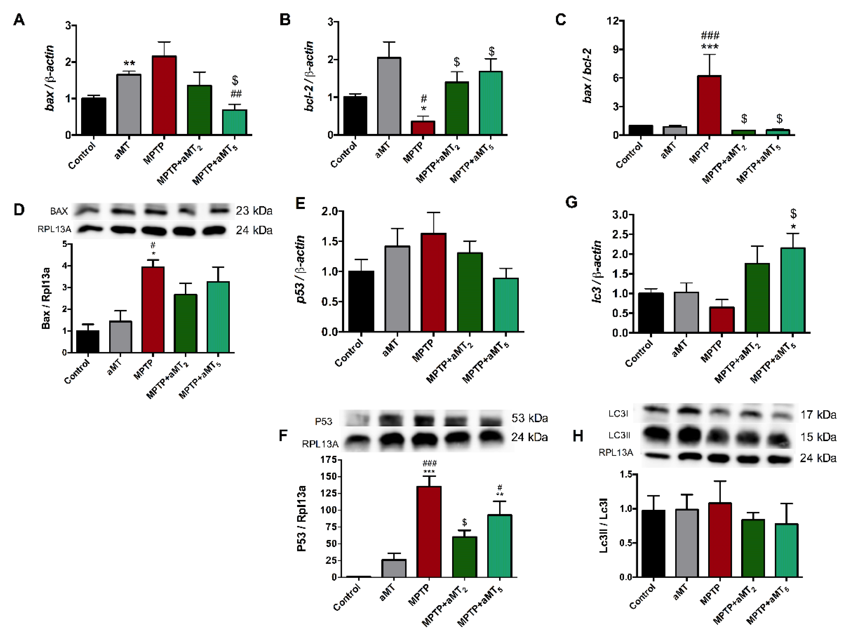 Antioxidants 12 00954 g007