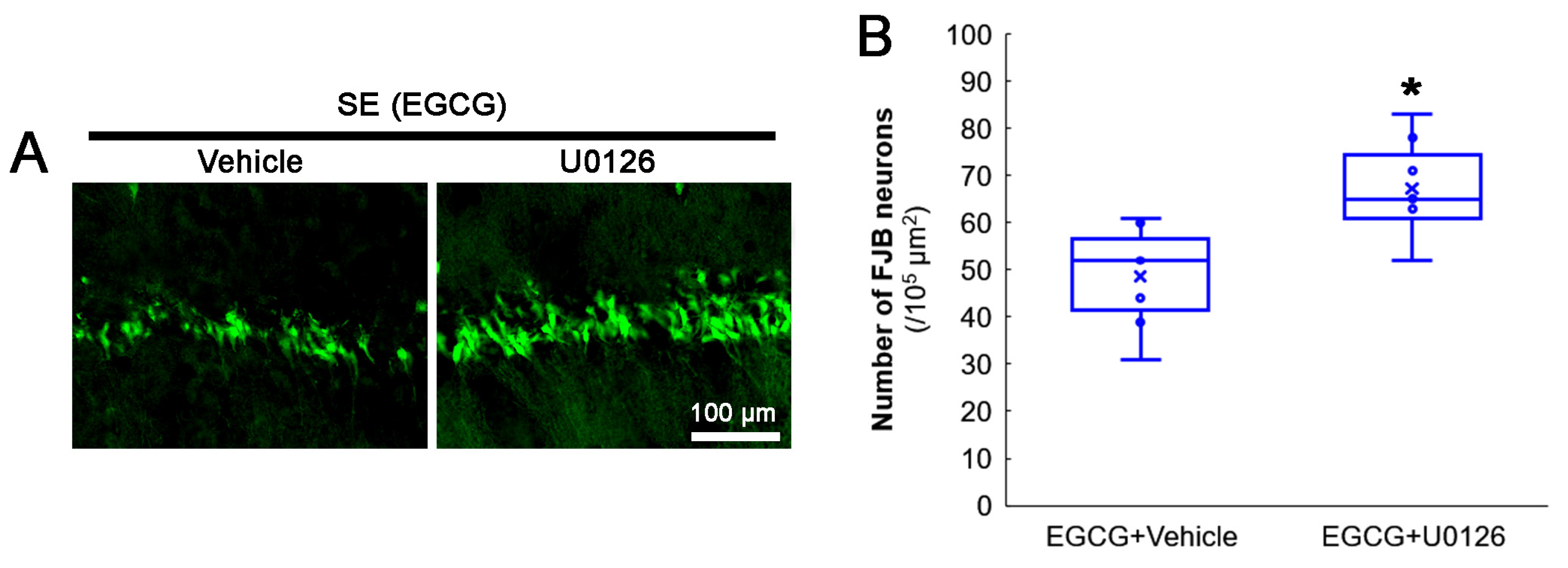 Antioxidants 12 00966 g008 Antioxidants 12 00966 g008