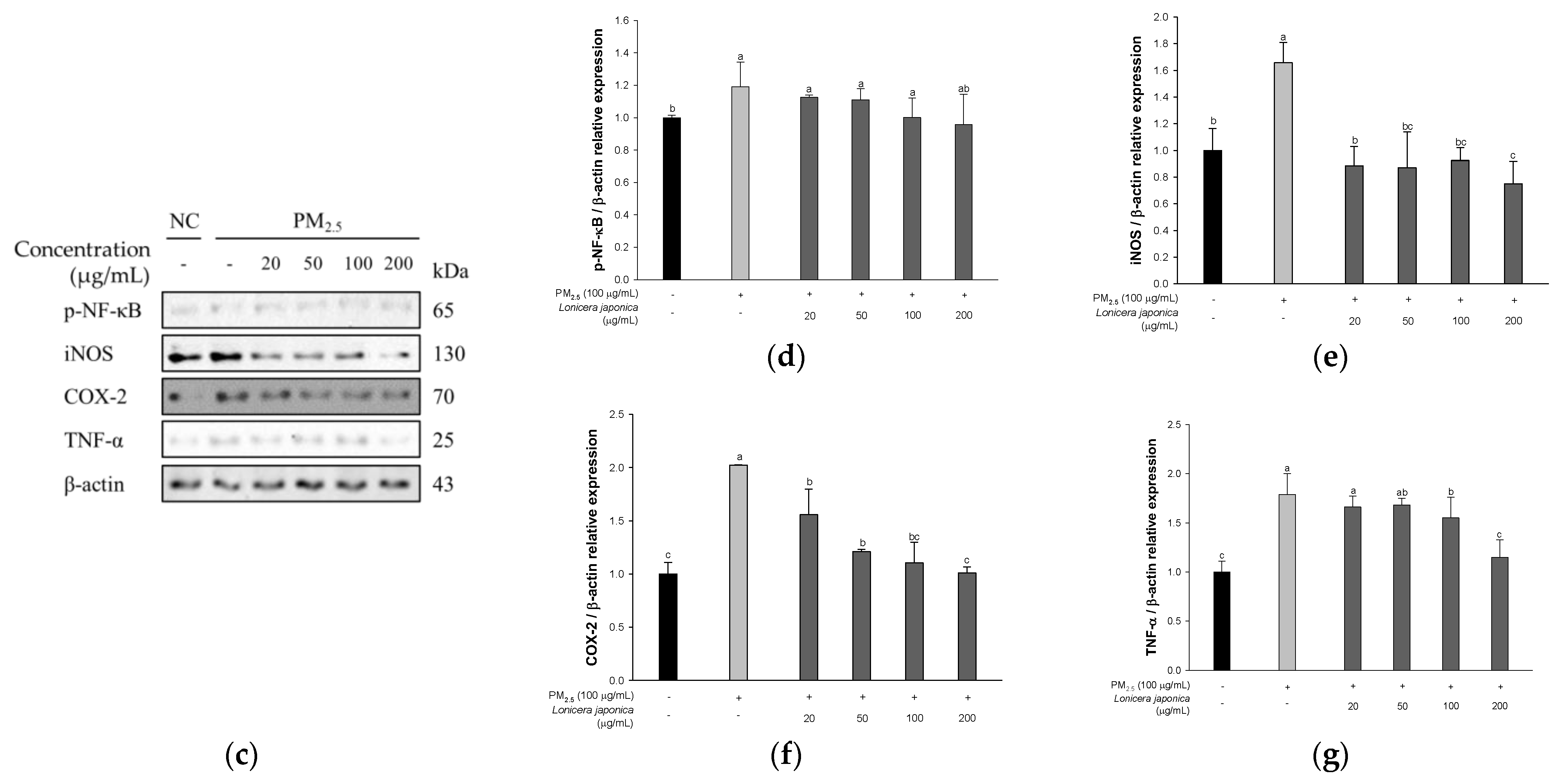 Antioxidants 12 00968 g002b