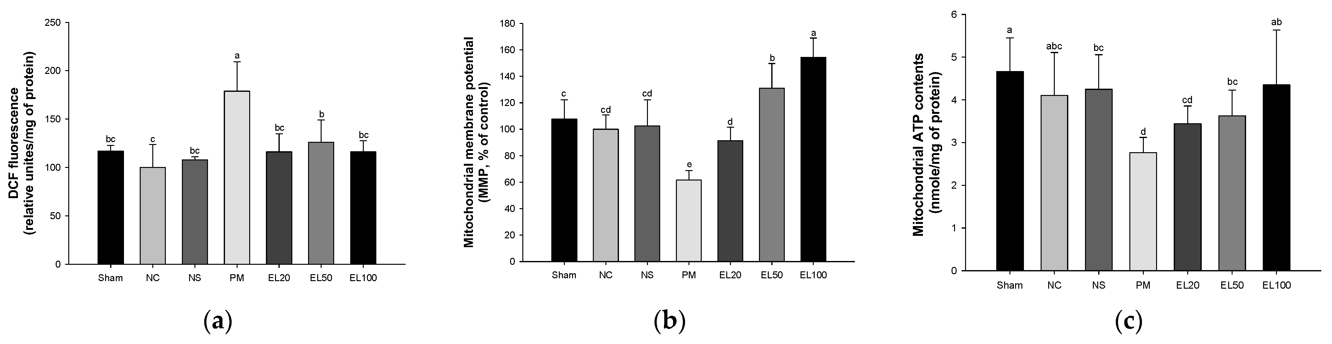 Antioxidants 12 00968 g005