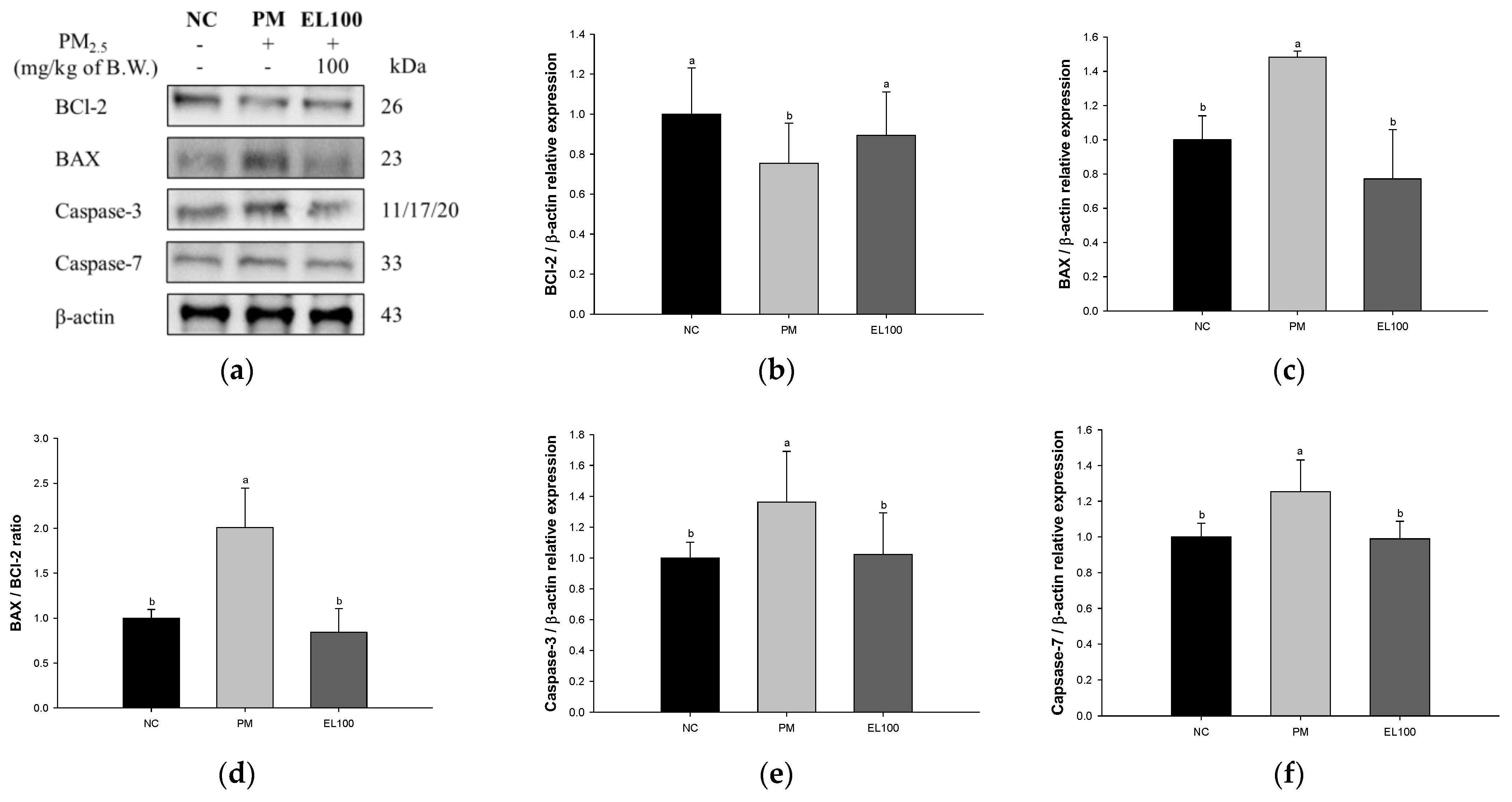 Antioxidants 12 00968 g007