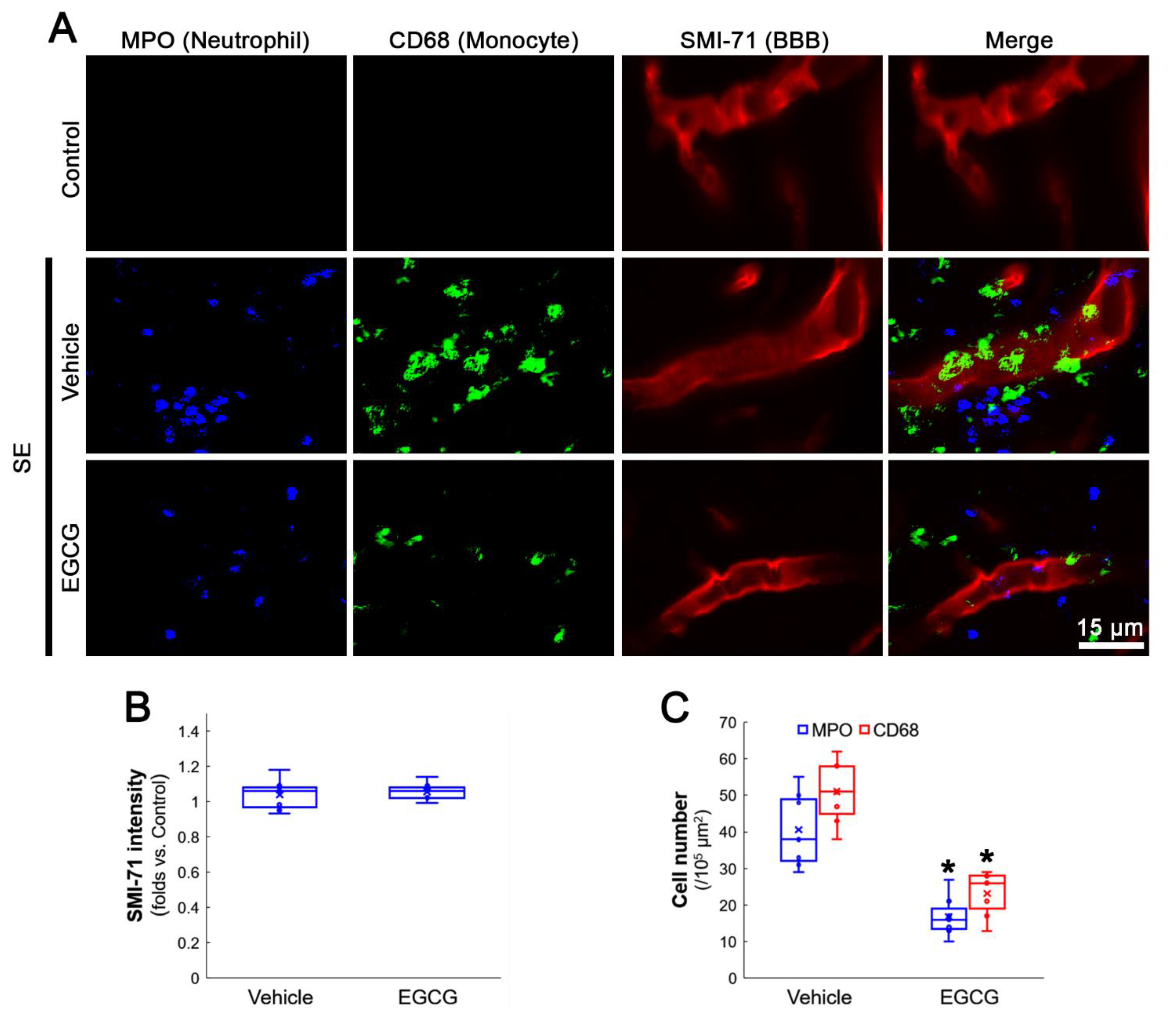 Antioxidants 12 00969 g001