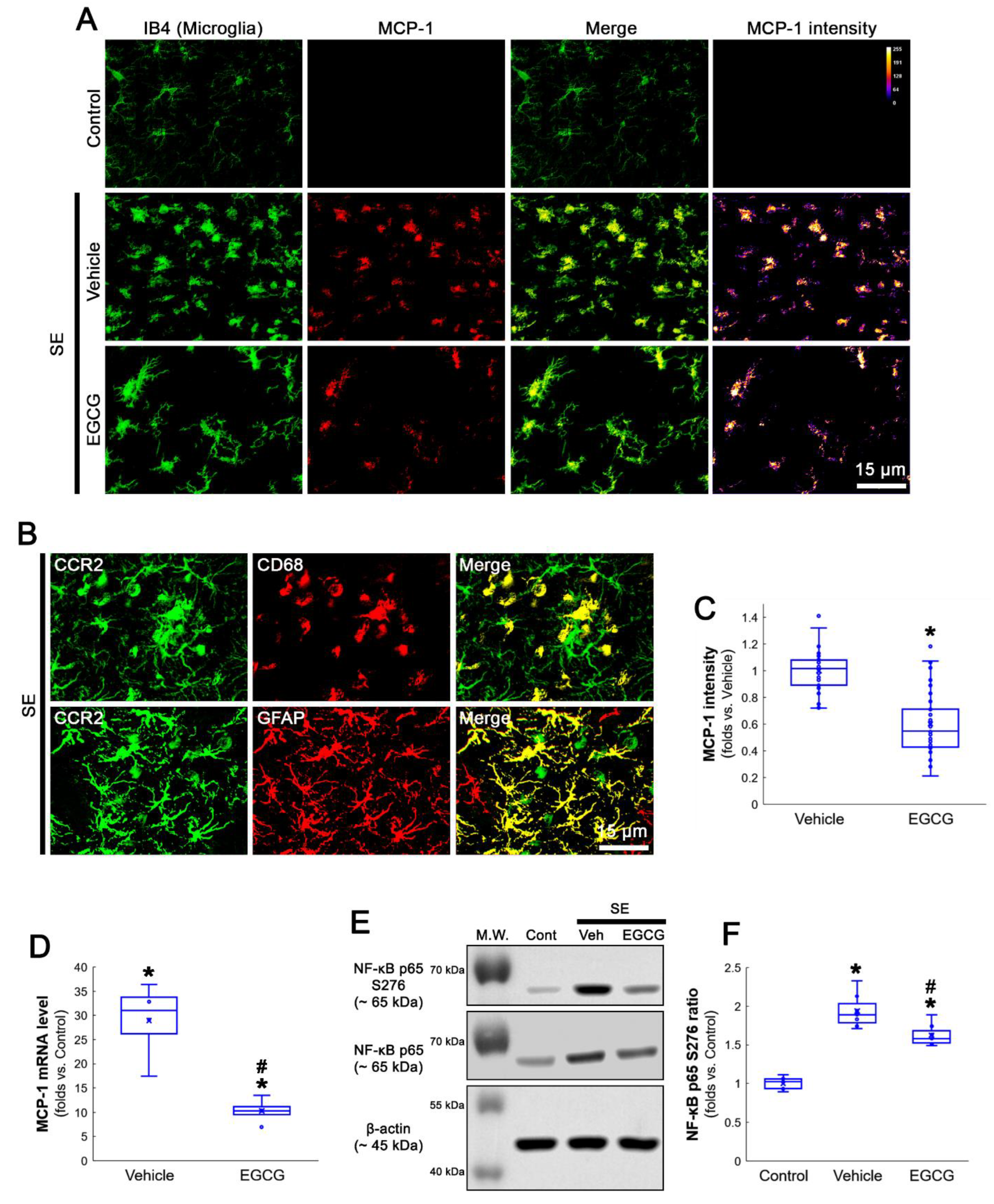 Antioxidants 12 00969 g002