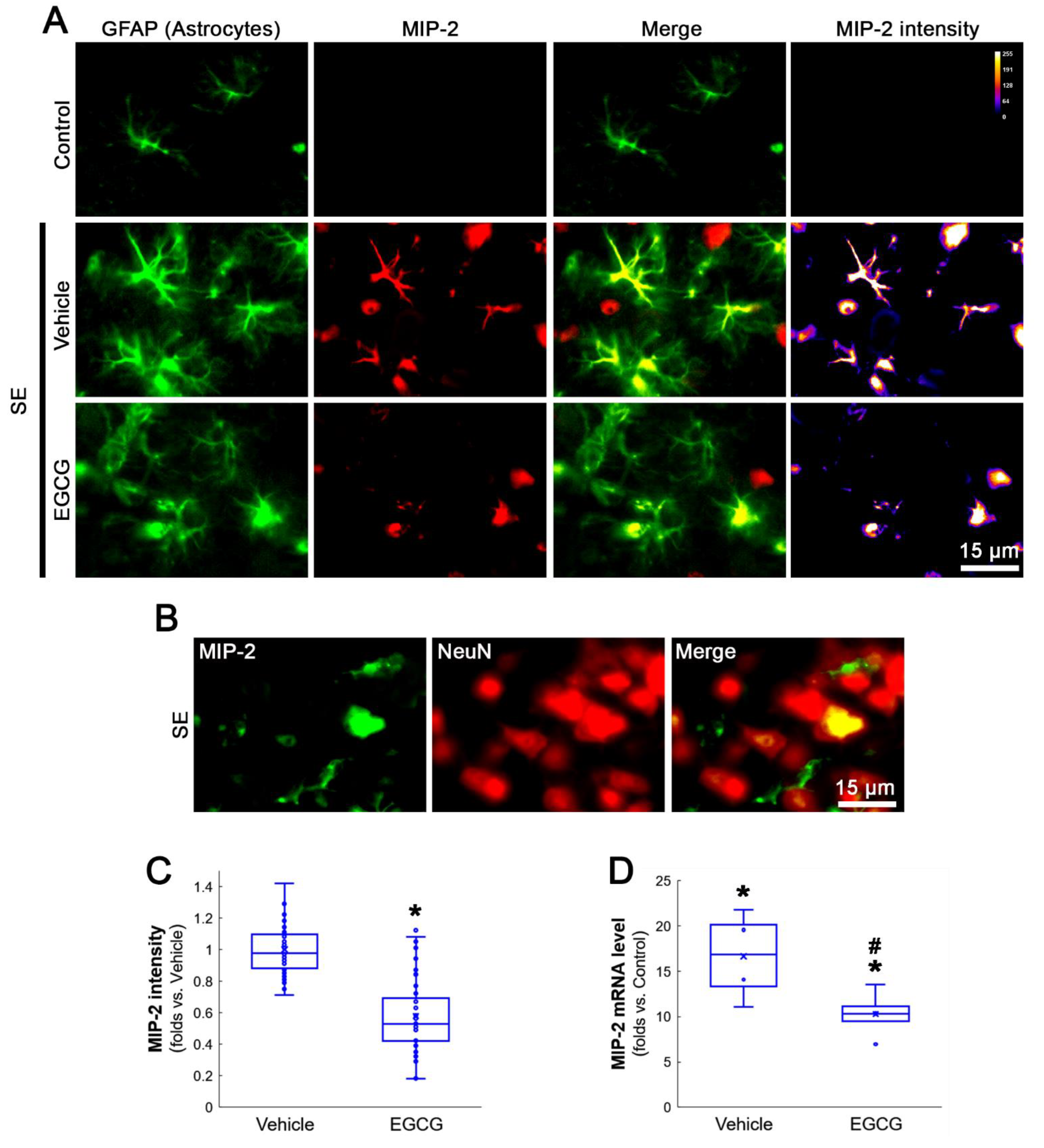 Antioxidants 12 00969 g003