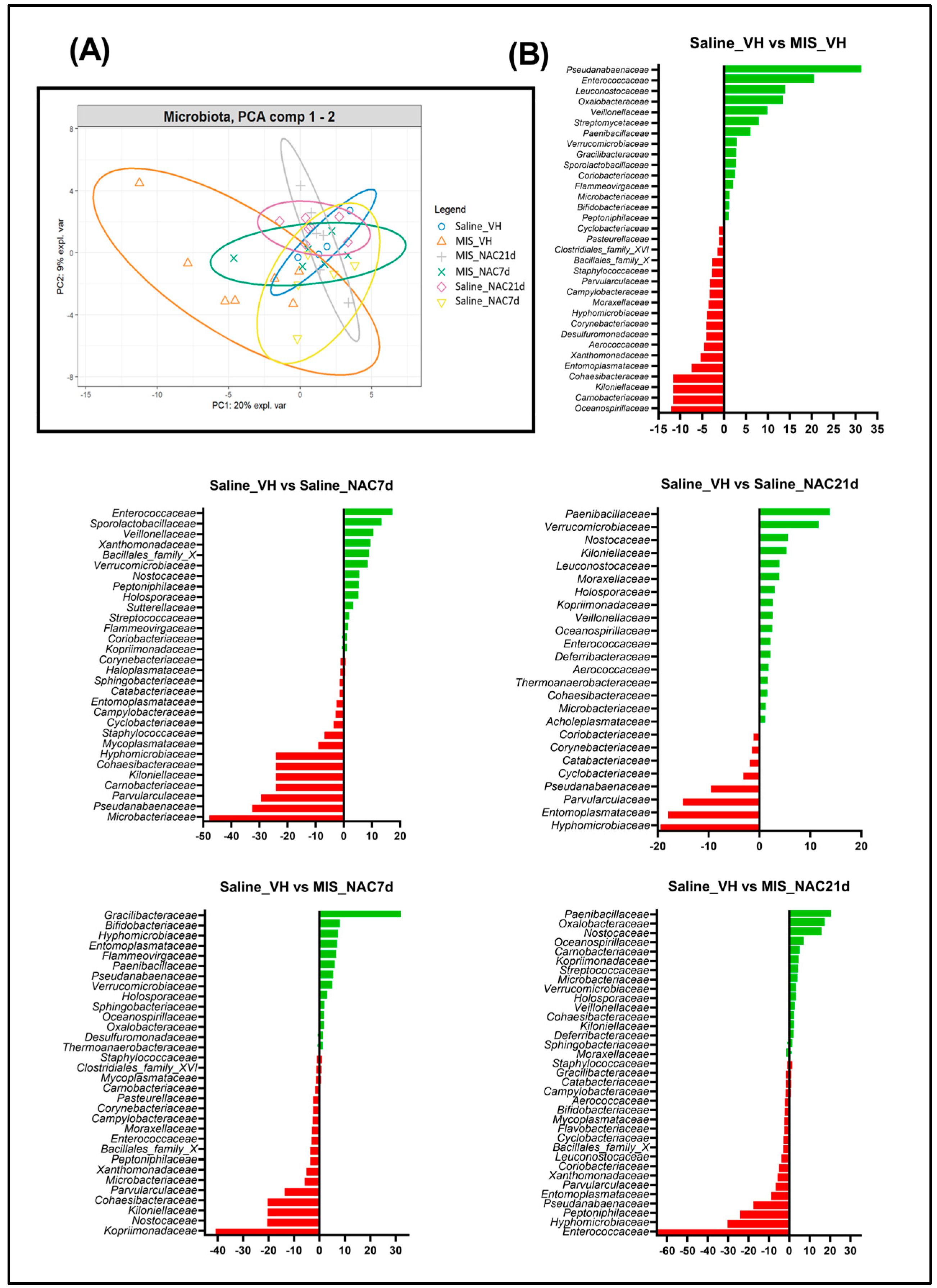 Antioxidants 12 00970 g006