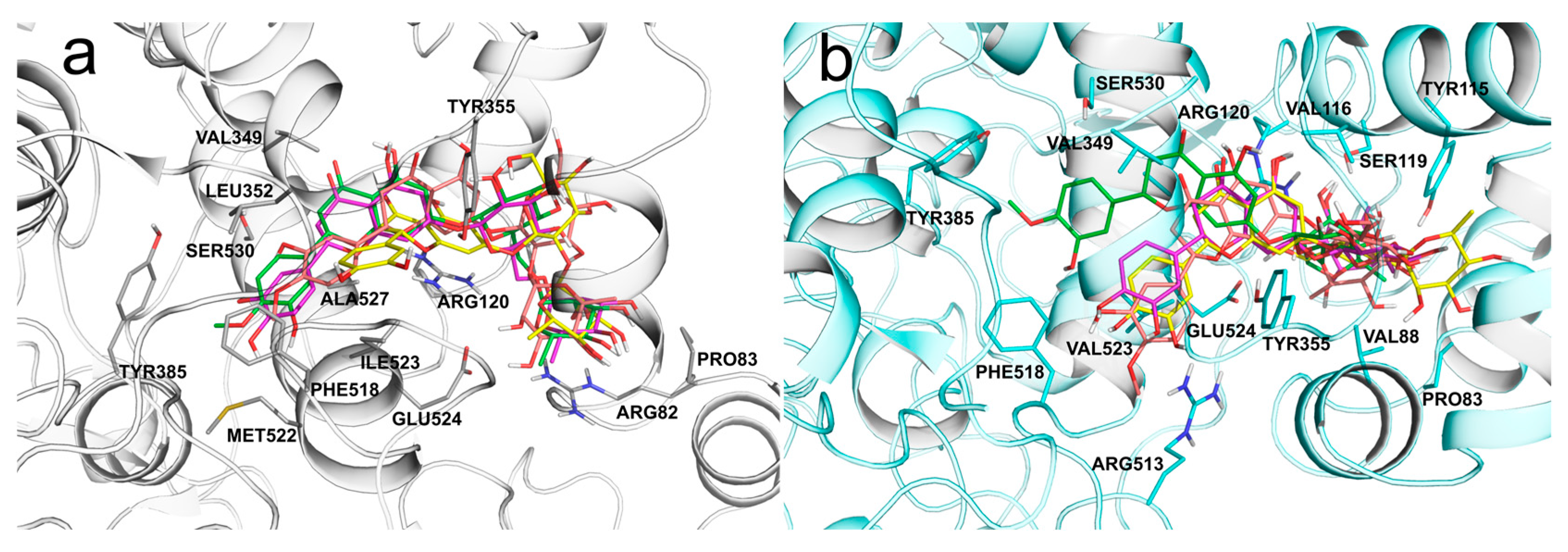 Antioxidants 12 00972 g001