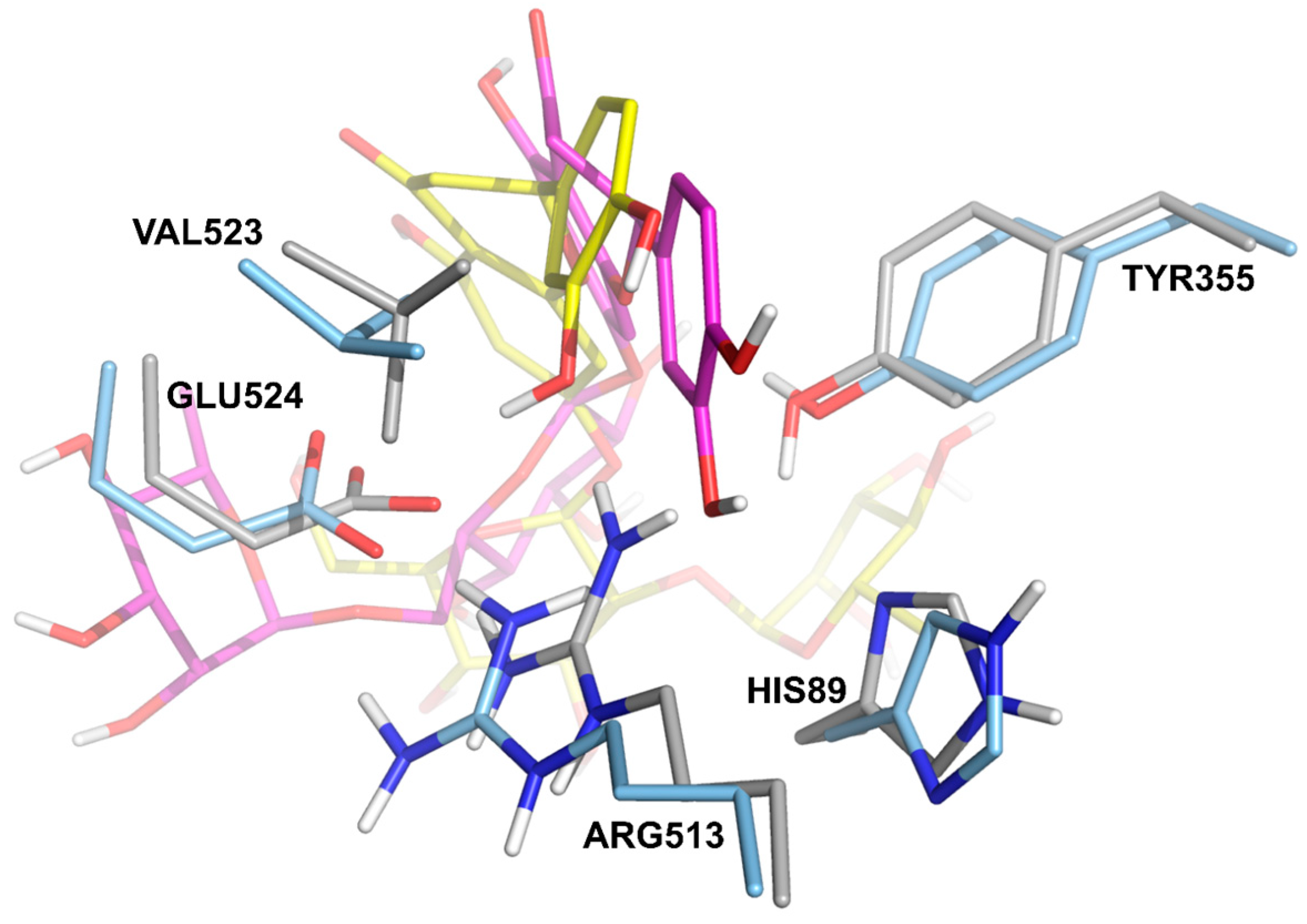 Antioxidants 12 00972 g003