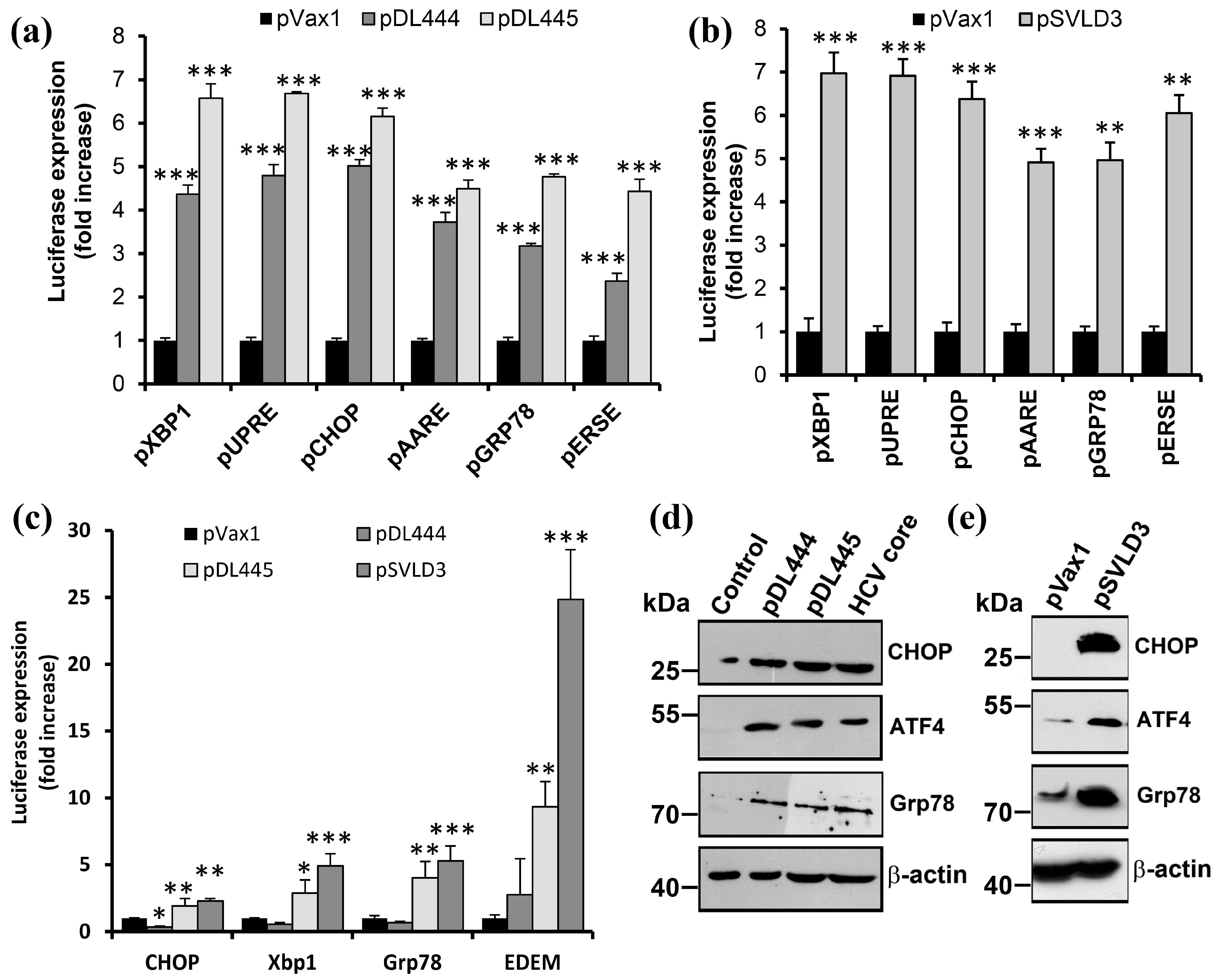 Antioxidants 12 00974 g005