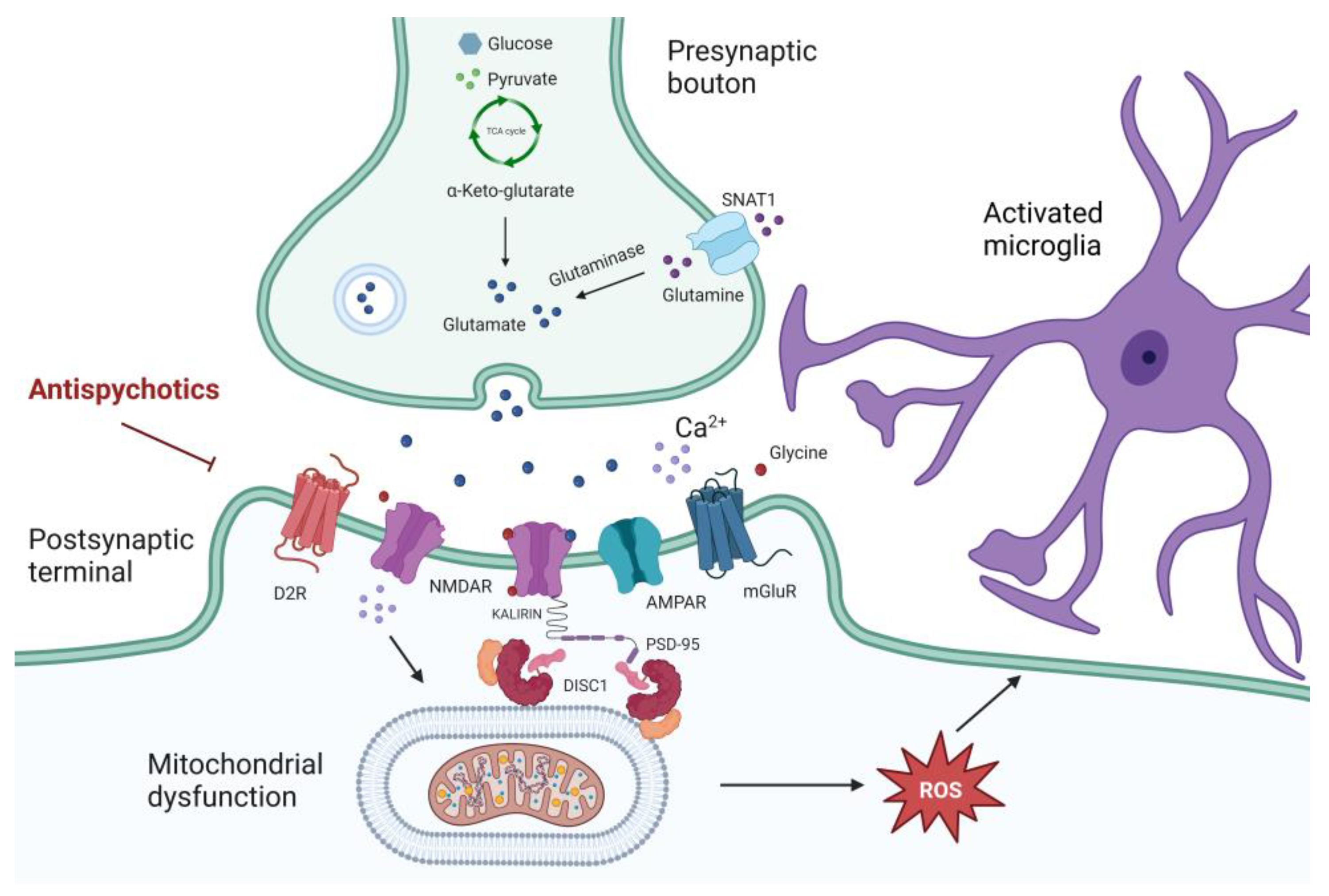 Antioxidants 12 00975 g002