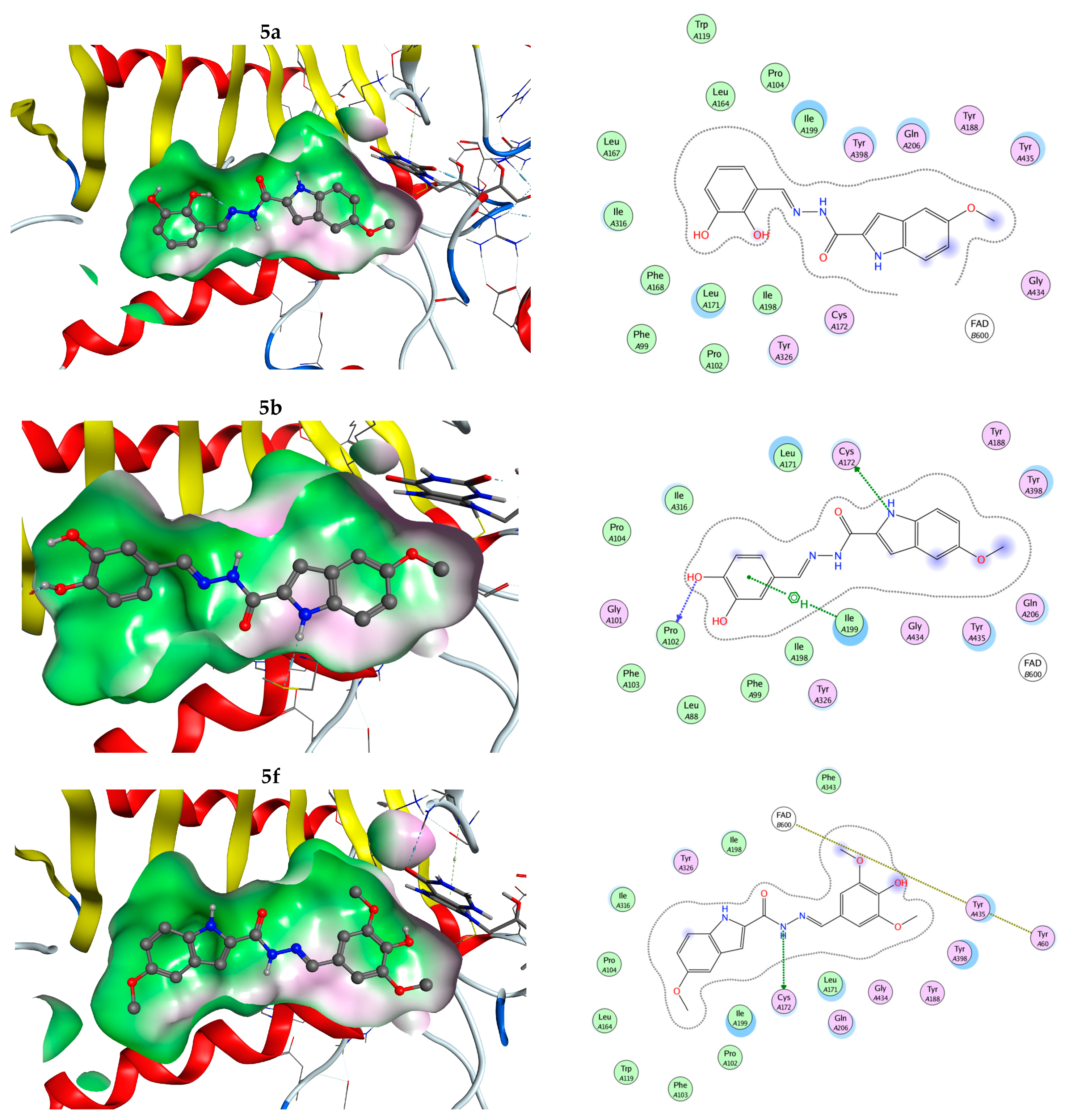 Antioxidants 12 00977 g010b