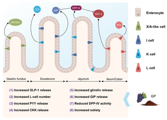 Antioxidants 12 00979 g003